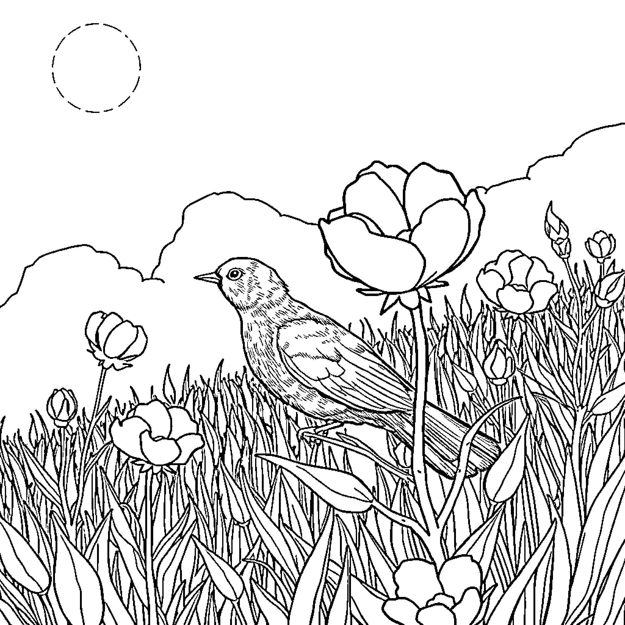 Noir Bird among Blooming Flowers in Meadow Coloring Page (free black-and-white line drawing printable PDF for all, from beginners to advanced learners, including children, teens, adults, and seniors)