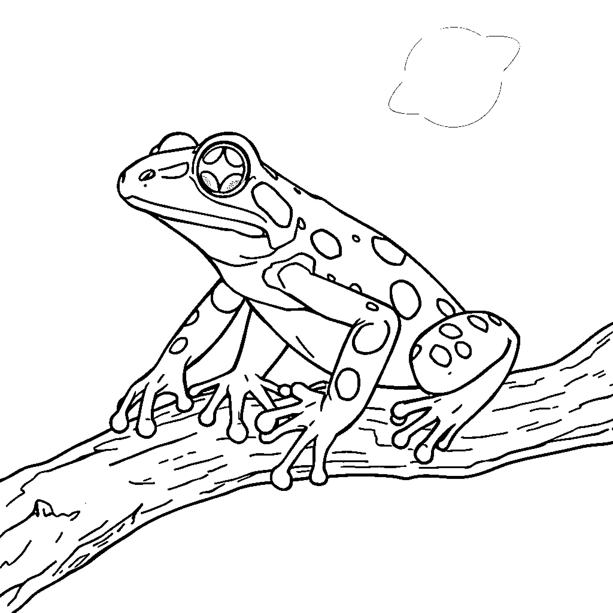 Cheetahfrog climbing on a tree branch Coloring Page (free black-and-white line drawing printable PDF for all, from beginners to advanced learners, including children, teens, adults, and seniors)