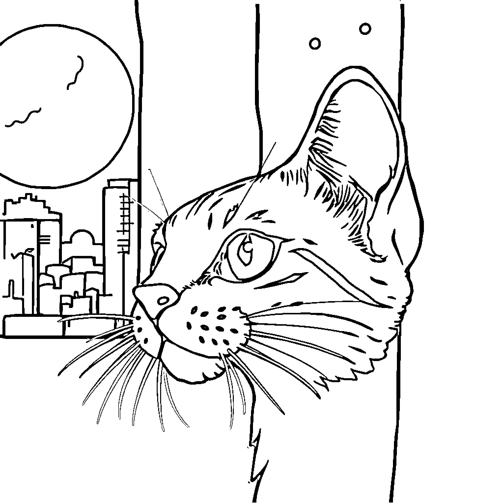 Children's Playful Cat Sketch in the City Coloring Page (free black-and-white line drawing printable PDF for all, from beginners to advanced learners, including children, teens, adults, and seniors)