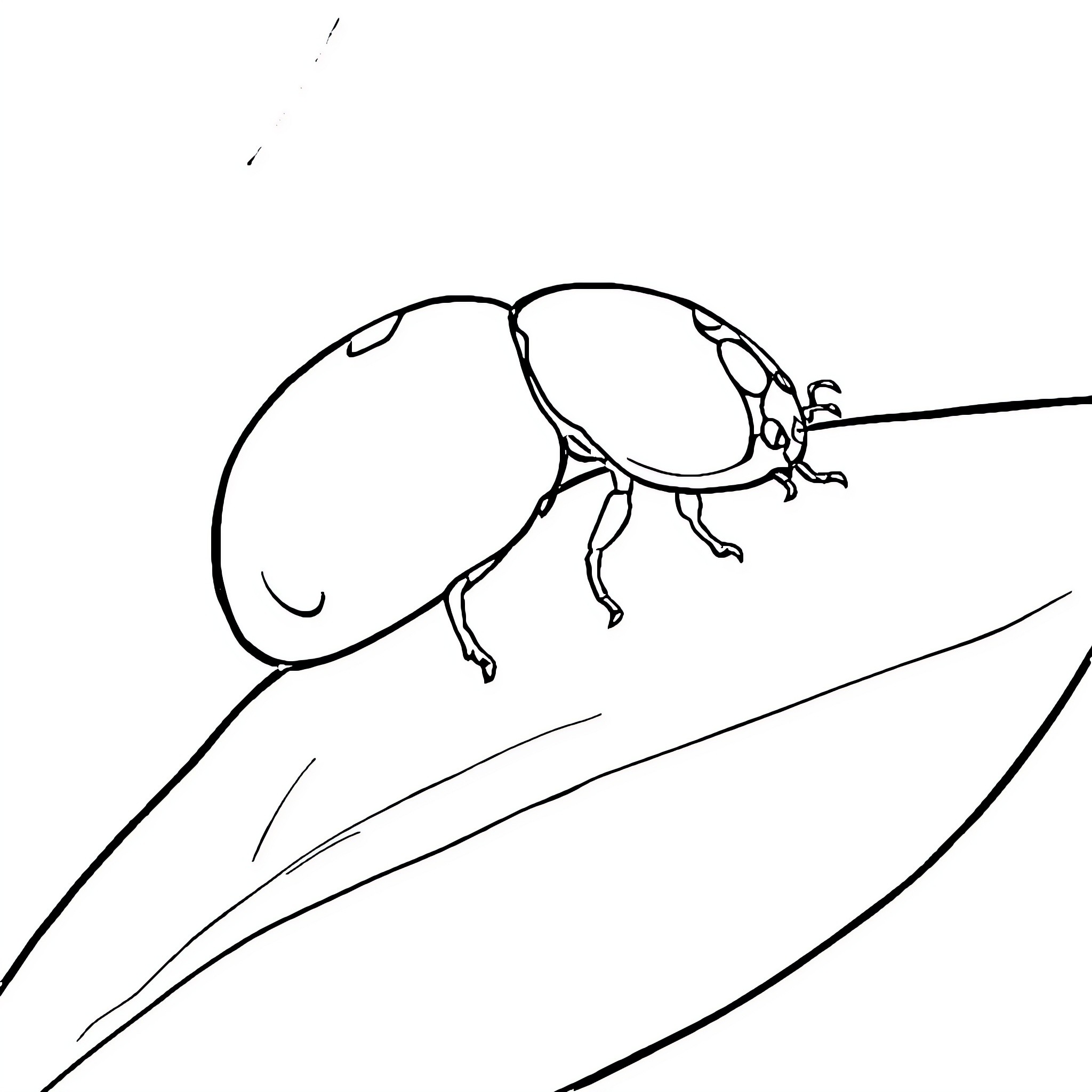 Ladybug crawling on a leaf Coloring Page (free black-and-white line drawing printable PDF for all, from beginners to advanced learners, including children, teens, adults, and seniors)