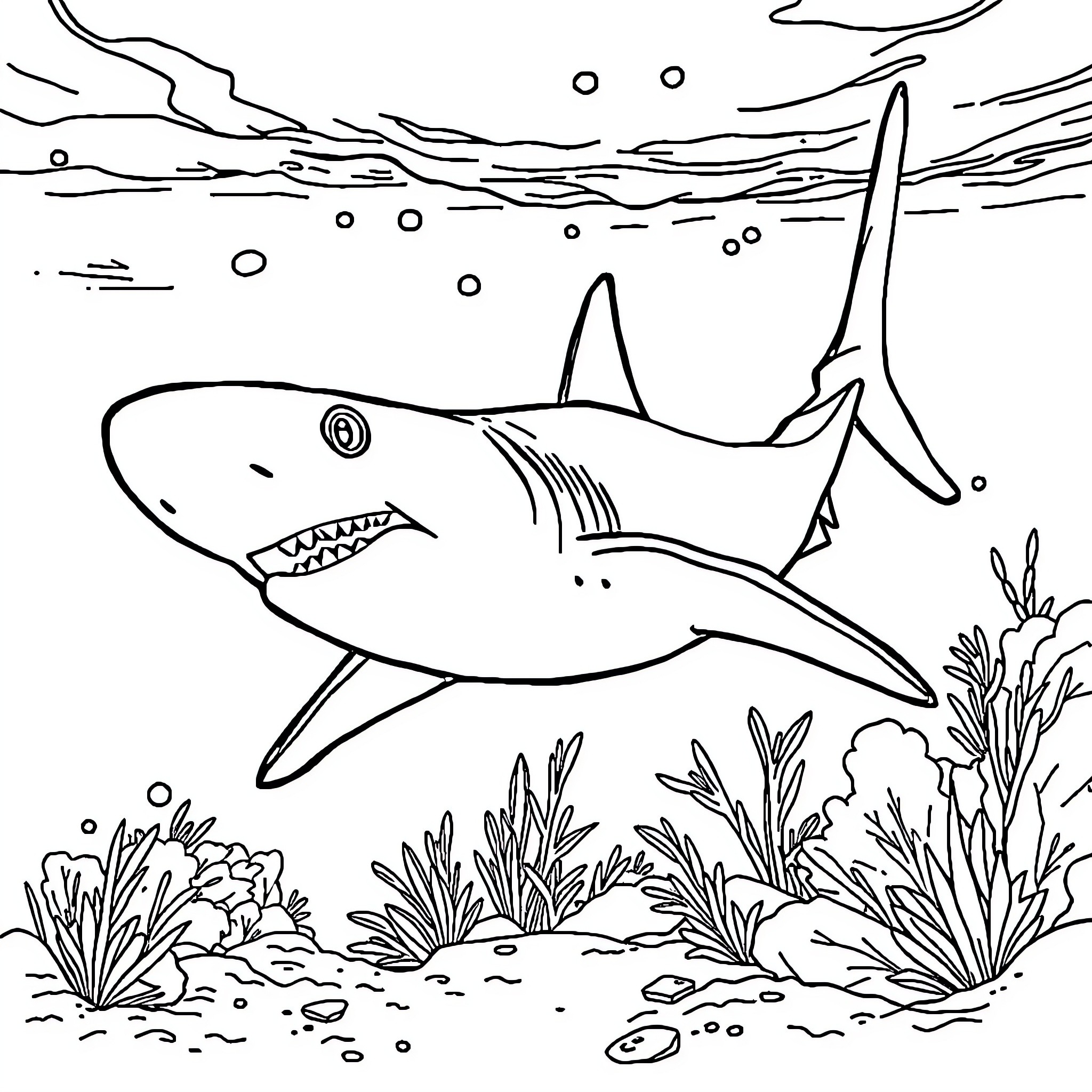 Shark swimming in the ocean Coloring Page (free black-and-white line drawing printable PDF for all, from beginners to advanced learners, including children, teens, adults, and seniors)