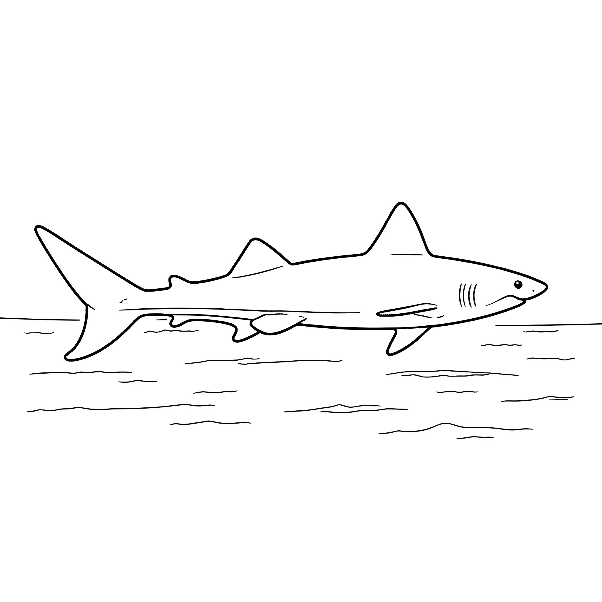 Shark swimming swiftly in the ocean Coloring Page (free black-and-white line drawing printable PDF for all, from beginners to advanced learners, including children, teens, adults, and seniors)