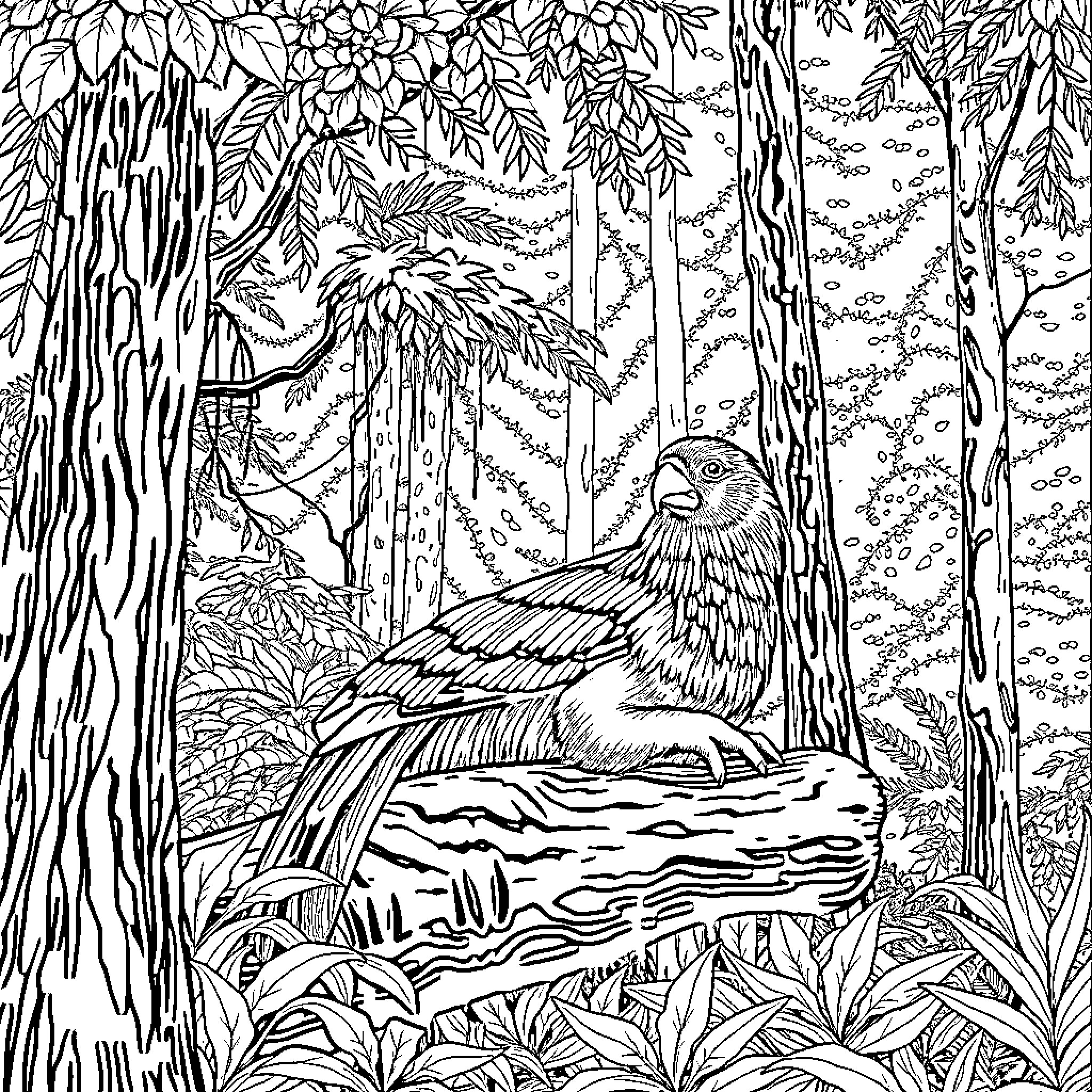 Guiña: Bird resting in enchanting forest landscape Coloring Page (free black-and-white line drawing printable PDF for all, from beginners to advanced learners, including children, teens, adults, and seniors)