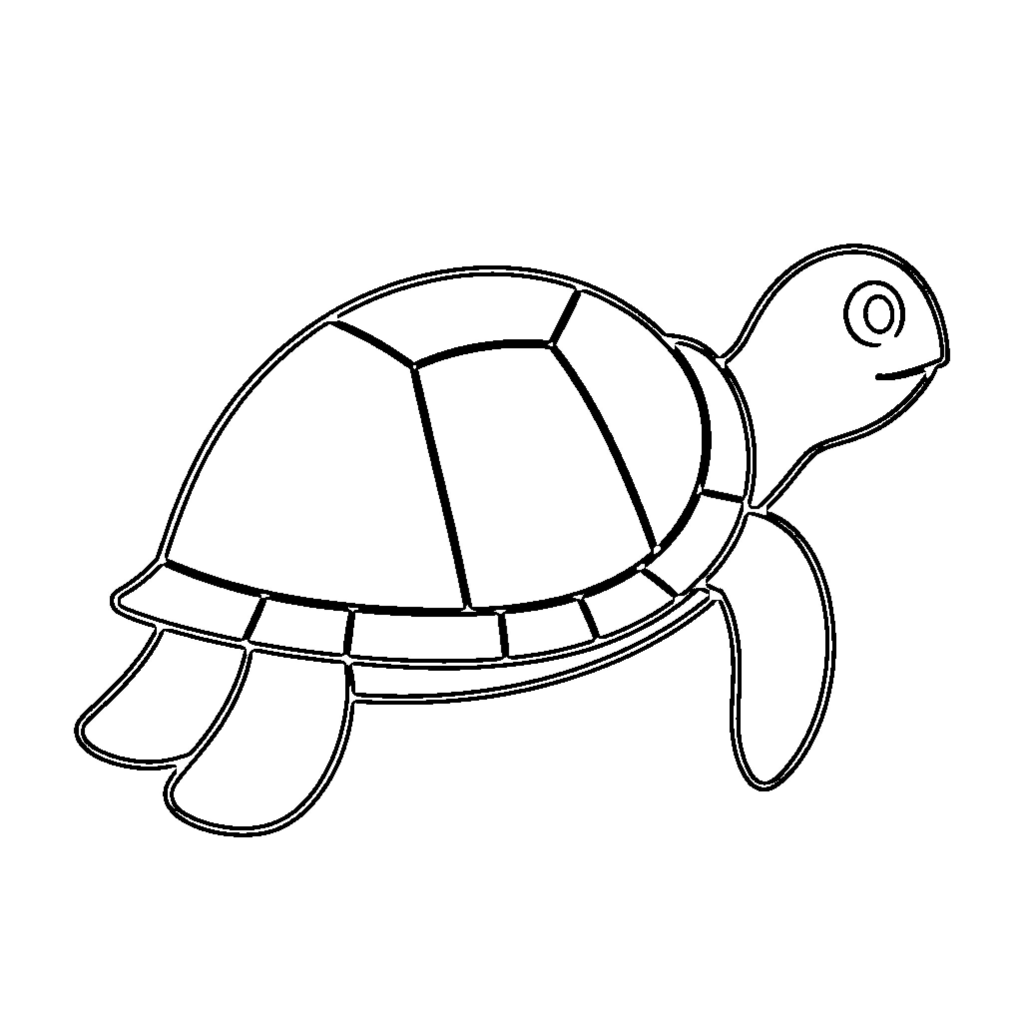 Turtle exploring its surroundings Coloring Page (free black-and-white line drawing printable PDF for all, from beginners to advanced learners, including children, teens, adults, and seniors)