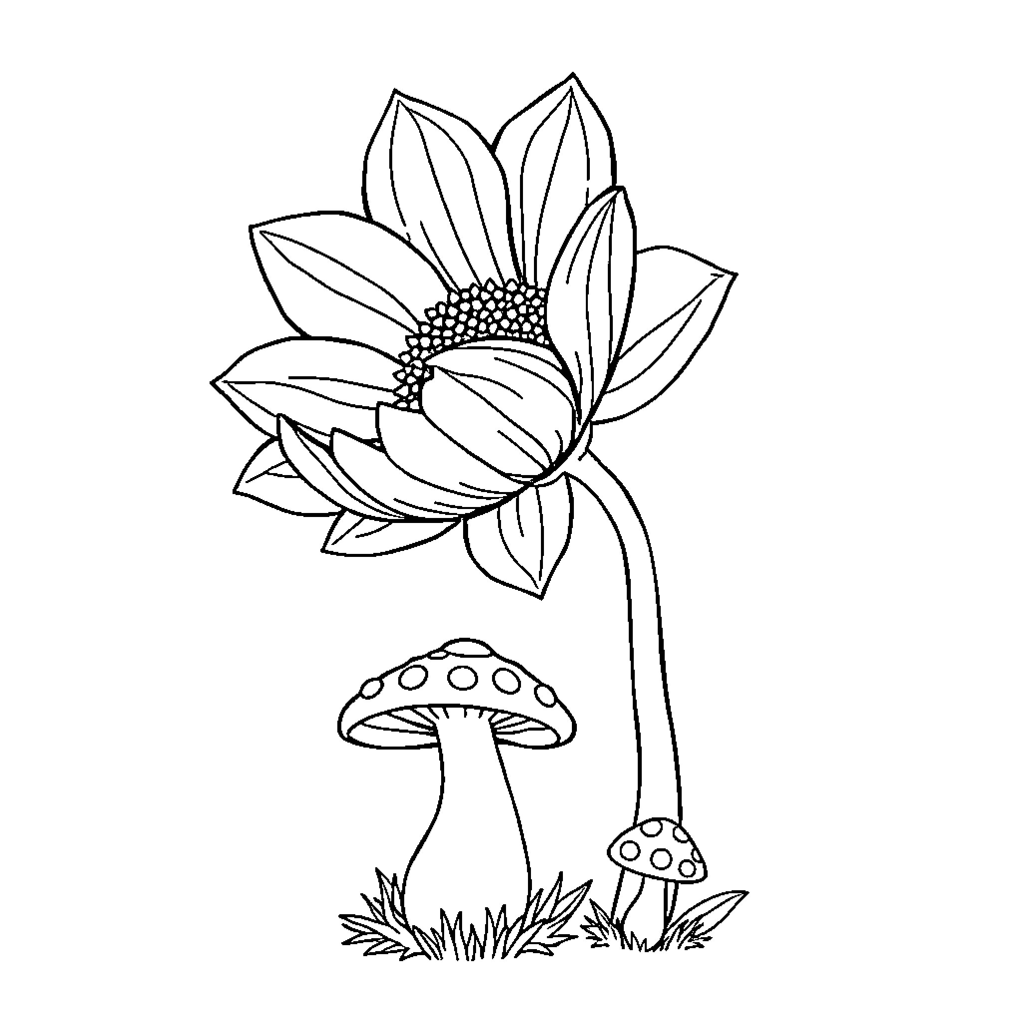 Flower blooming with mushrooms on the ground Coloring Page (free black-and-white line drawing printable PDF for all, from beginners to advanced learners, including children, teens, adults, and seniors)