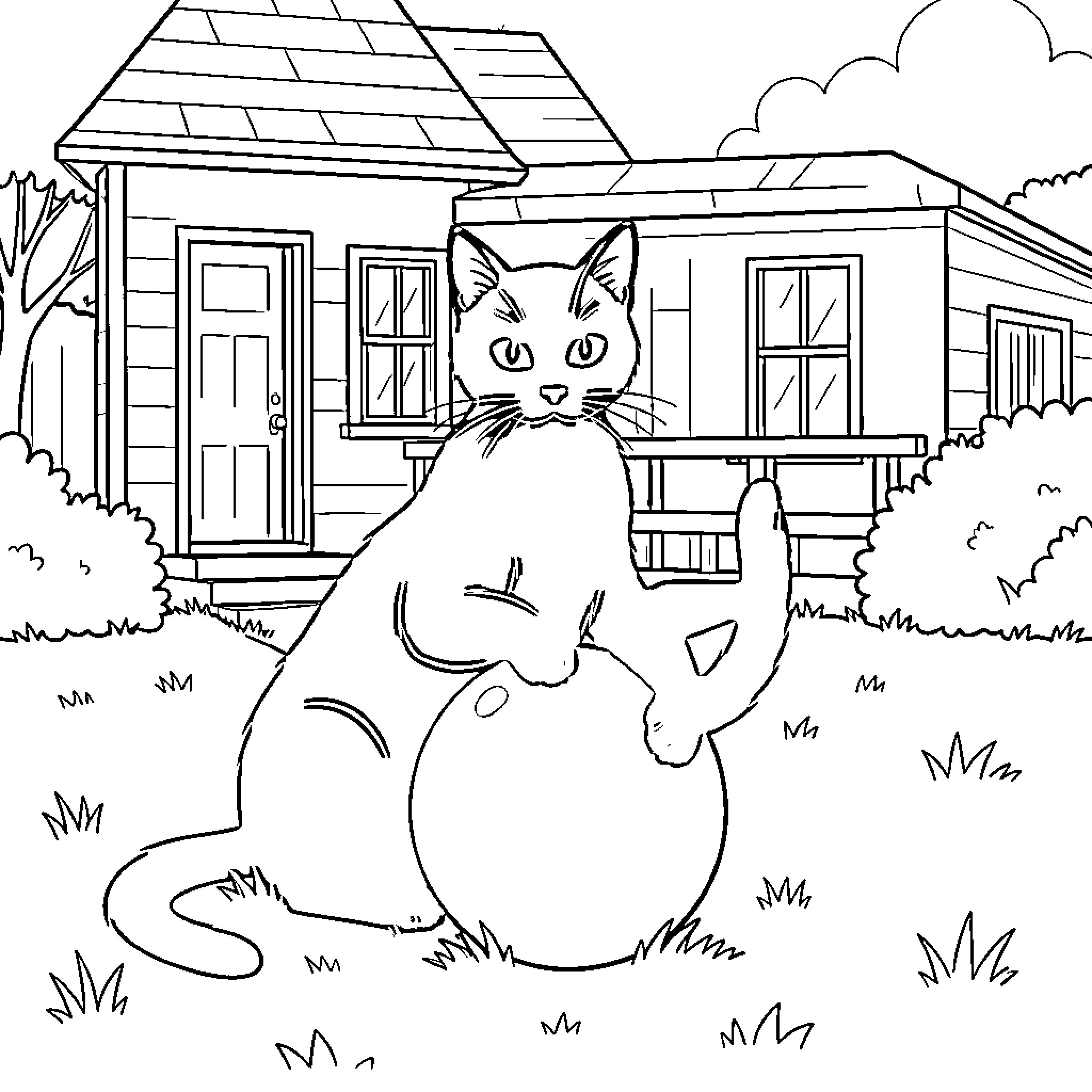 Gato sitting outside a cozy house Coloring Page (free black-and-white line drawing printable PDF for all, from beginners to advanced learners, including children, teens, adults, and seniors)