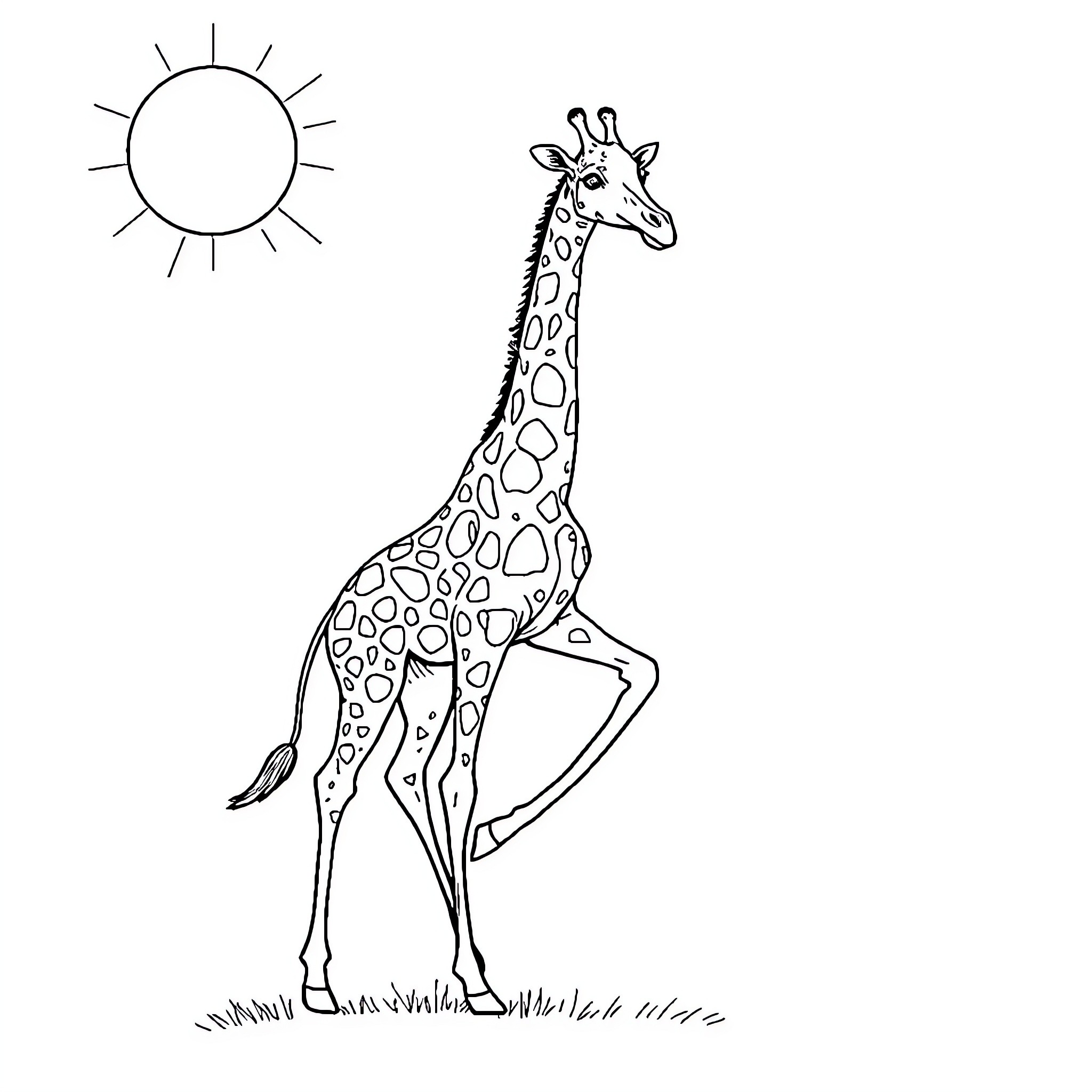 Giraffe standing under the sun Coloring Page (free black-and-white line drawing printable PDF for all, from beginners to advanced learners, including children, teens, adults, and seniors)