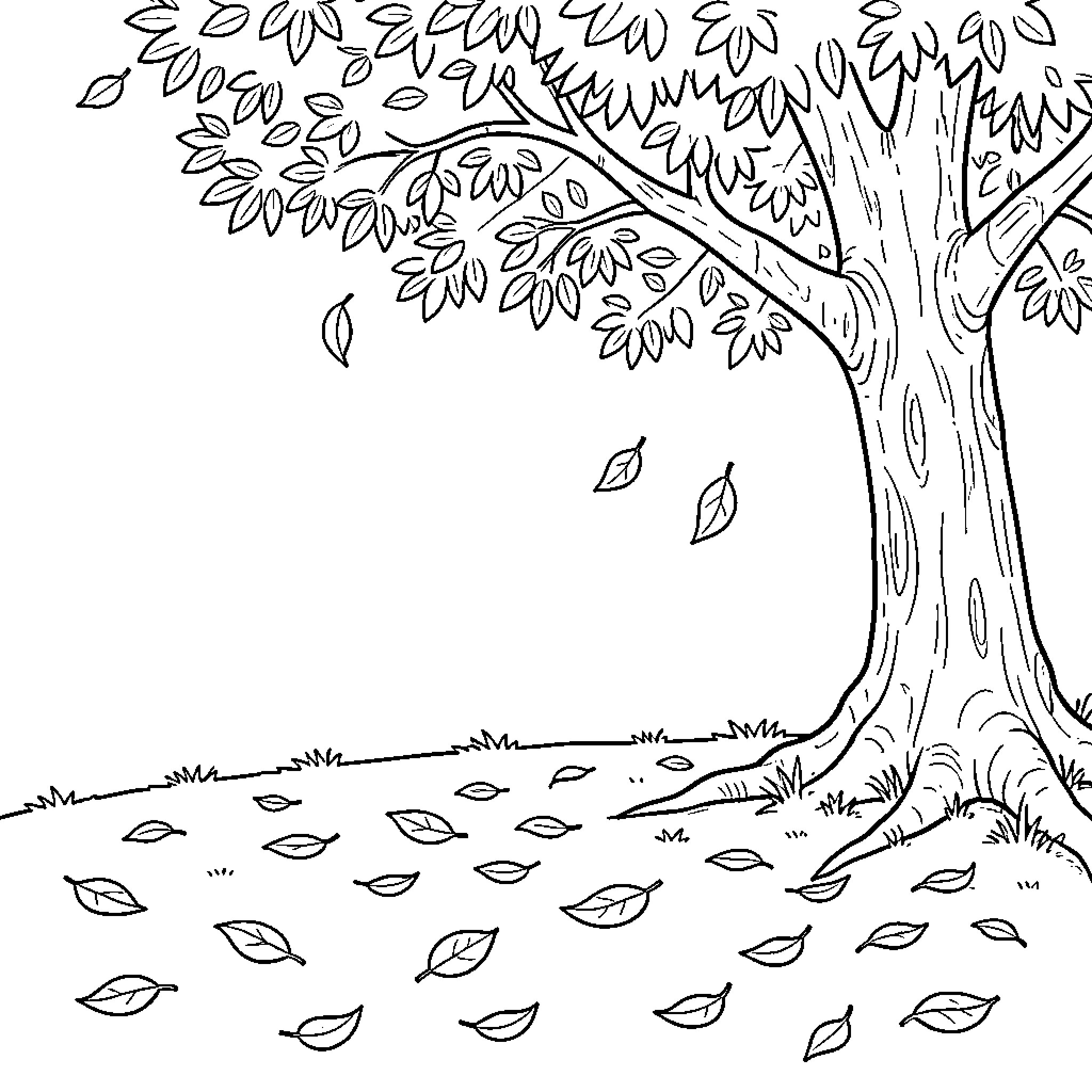 Pom leaves falling from a large tree Coloring Page (free black-and-white line drawing printable PDF for all, from beginners to advanced learners, including children, teens, adults, and seniors)