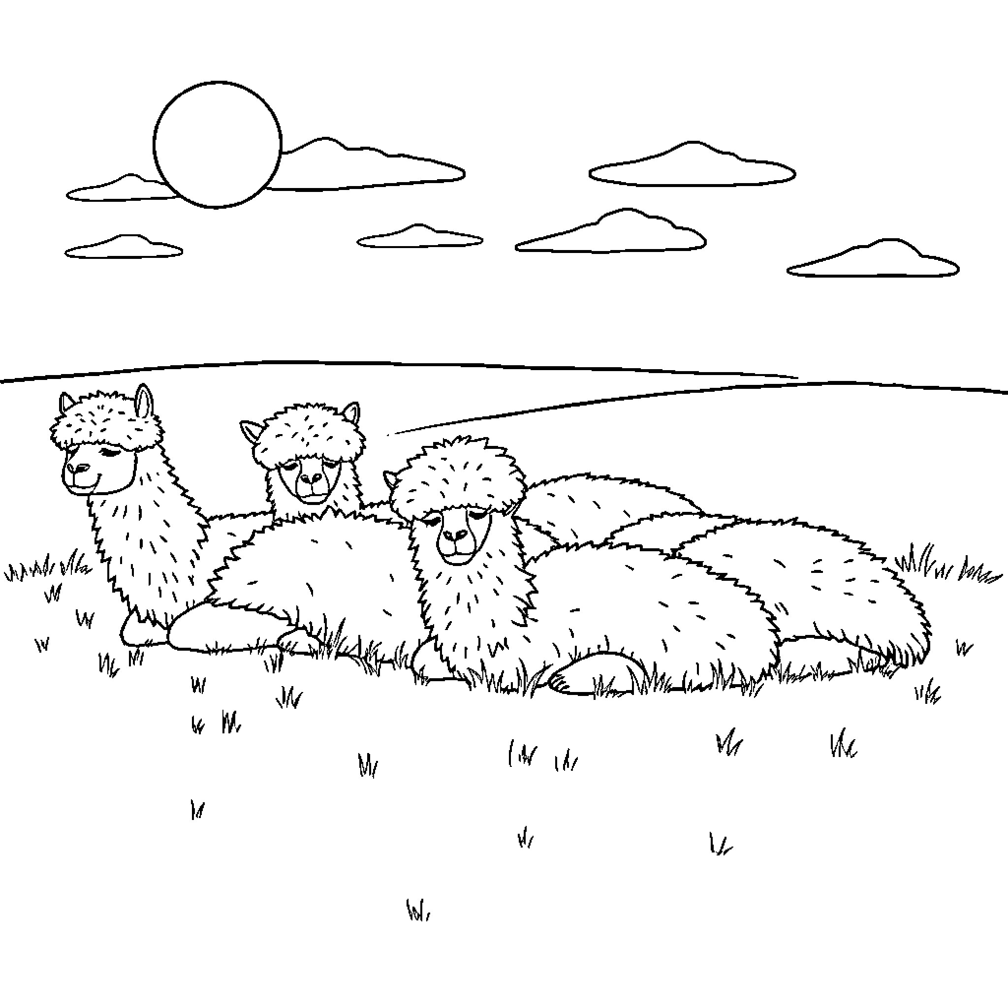Alpacas grazing peacefully in a scenic landscape Coloring Page (free black-and-white line drawing printable PDF for all, from beginners to advanced learners, including children, teens, adults, and seniors)