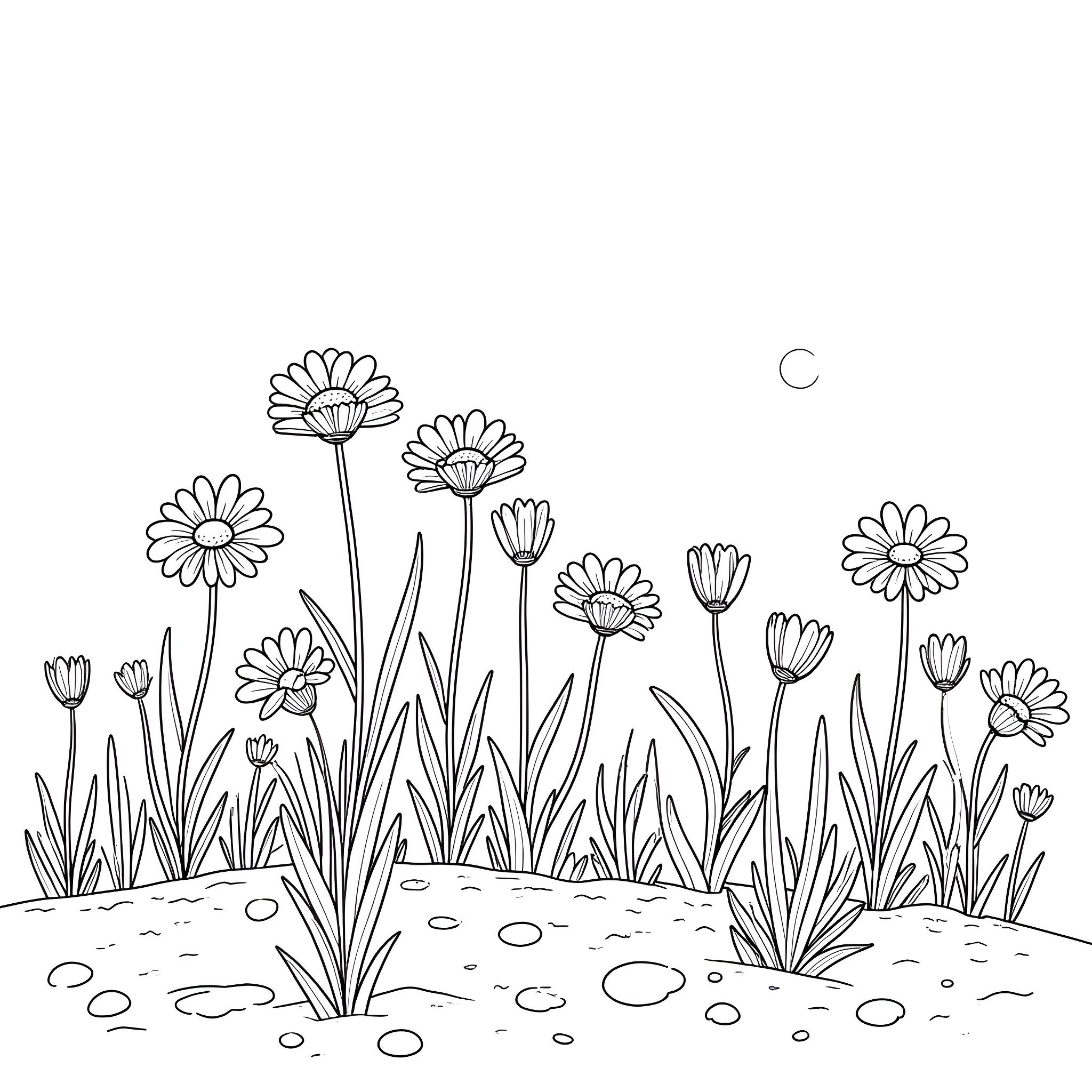 Daisy flowers blooming in the meadow Coloring Page (free black-and-white line drawing printable PDF for all, from beginners to advanced learners, including children, teens, adults, and seniors)