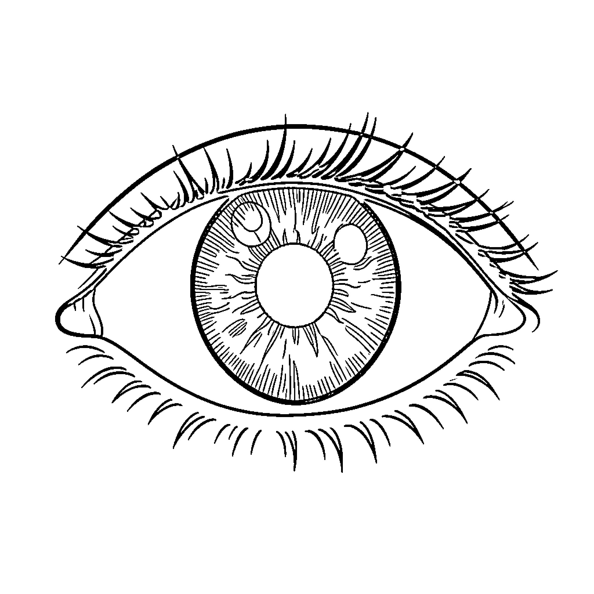 Eye Staring Intently Coloring Page (free black-and-white line drawing printable PDF for all, from beginners to advanced learners, including children, teens, adults, and seniors)