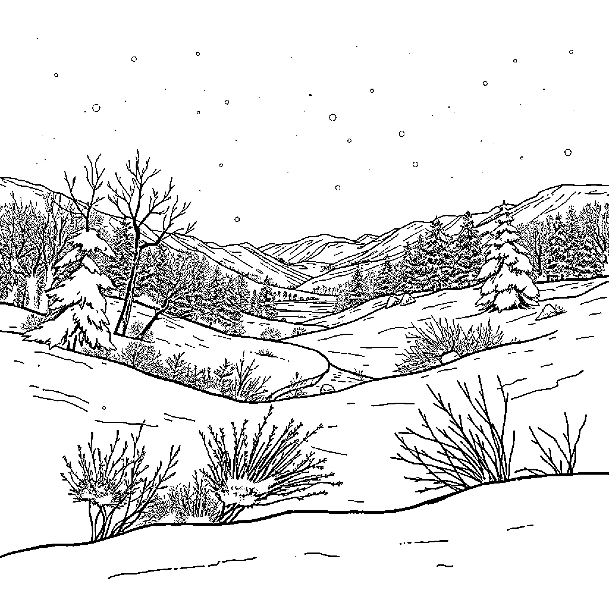Frozen Landscape of Snowy Mountains and Forests Coloring Page (free black-and-white line drawing printable PDF for all, from beginners to advanced learners, including children, teens, adults, and seniors)