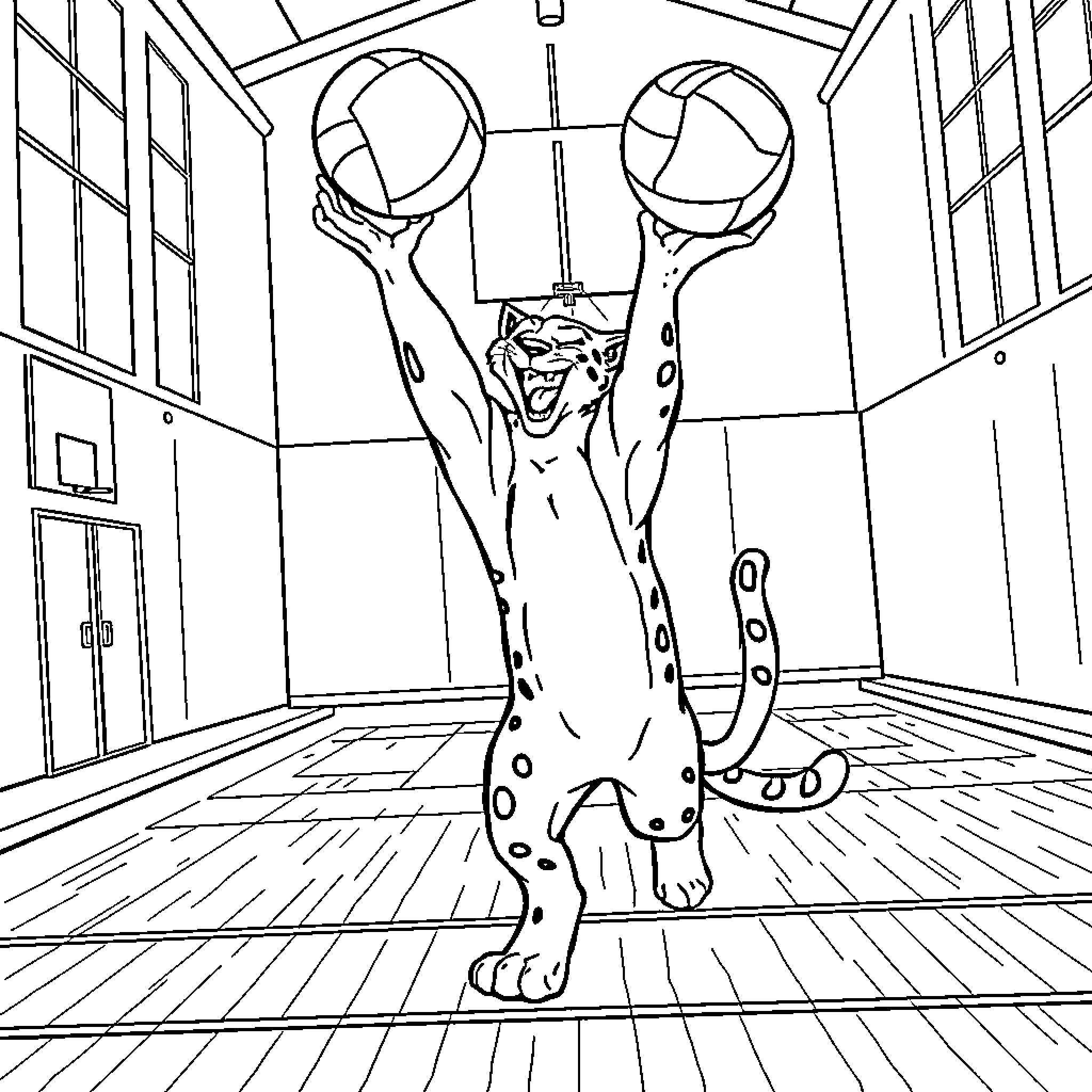 Cougar leaping with excitement in indoor arena Coloring Page (free black-and-white line drawing printable PDF for all, from beginners to advanced learners, including children, teens, adults, and seniors)