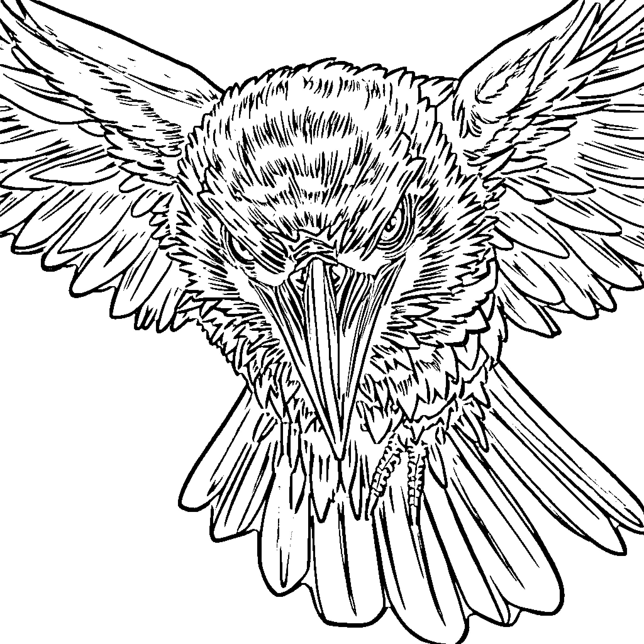 Raven in flight with spread wings Coloring Page (free black-and-white line drawing printable PDF for all, from beginners to advanced learners, including children, teens, adults, and seniors)