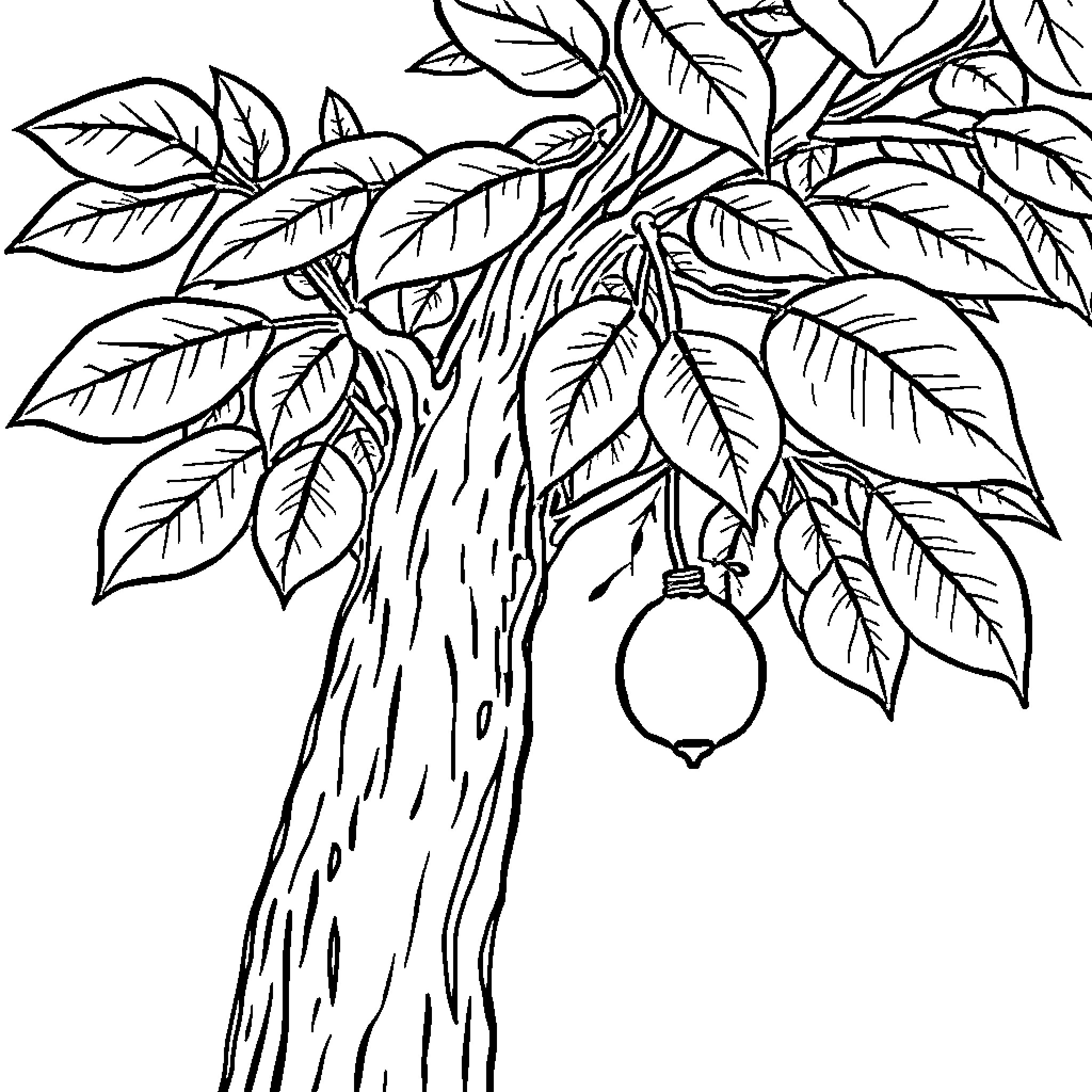 Tree with hanging lantern in foliage Coloring Page (free black-and-white line drawing printable PDF for all, from beginners to advanced learners, including children, teens, adults, and seniors)