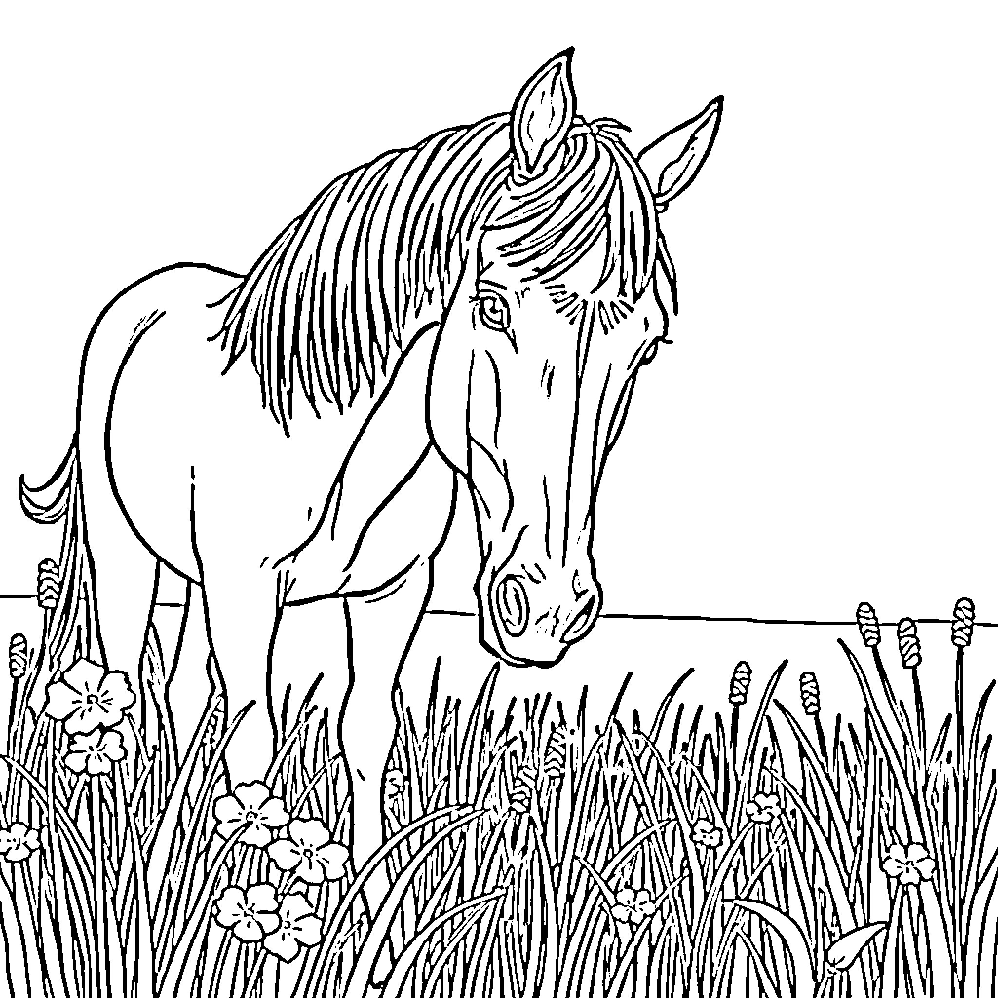 Horse grazing peacefully in a floral meadow Coloring Page (free black-and-white line drawing printable PDF for all, from beginners to advanced learners, including children, teens, adults, and seniors)