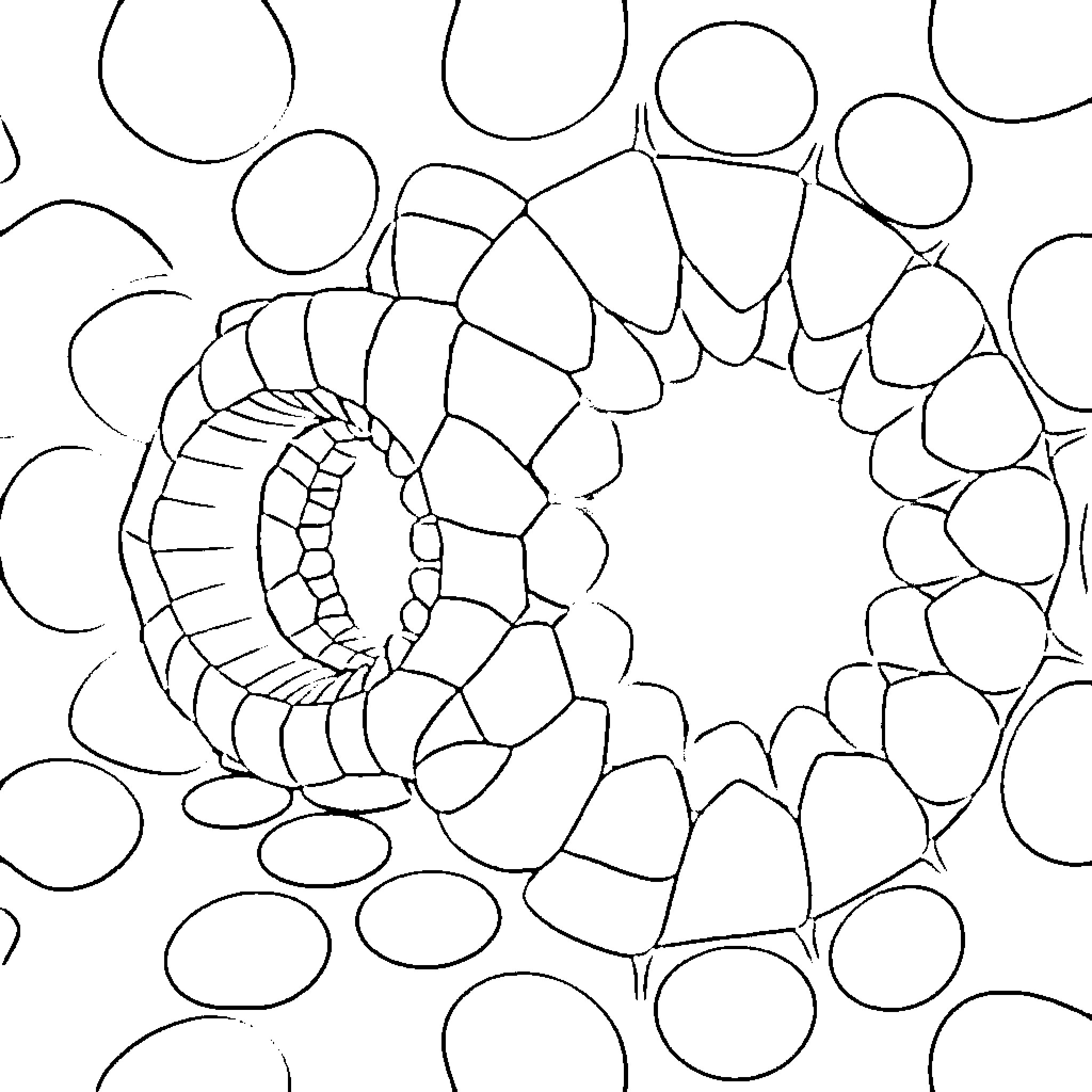 Illusion of Spiral Shapes and Patterns Coloring Page (free black-and-white line drawing printable PDF for all, from beginners to advanced learners, including children, teens, adults, and seniors)