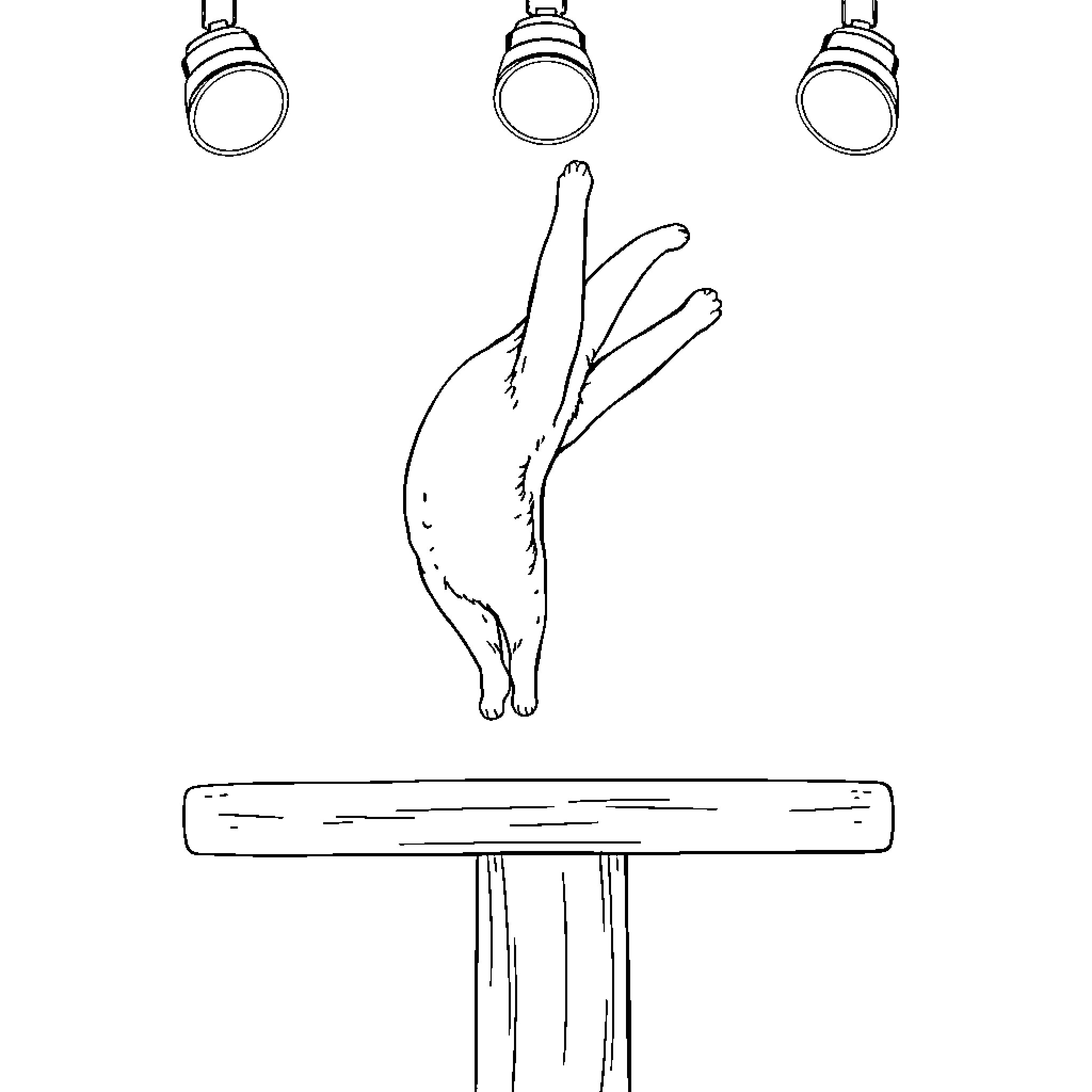 Cat leaping on a platform Coloring Page (free black-and-white line drawing printable PDF for all, from beginners to advanced learners, including children, teens, adults, and seniors)