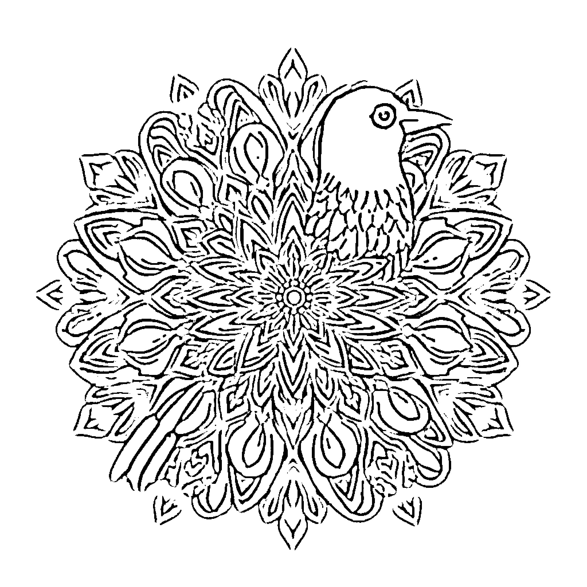Duck mandala with intricate patterns Coloring Page (free black-and-white line drawing printable PDF for all, from beginners to advanced learners, including children, teens, adults, and seniors)
