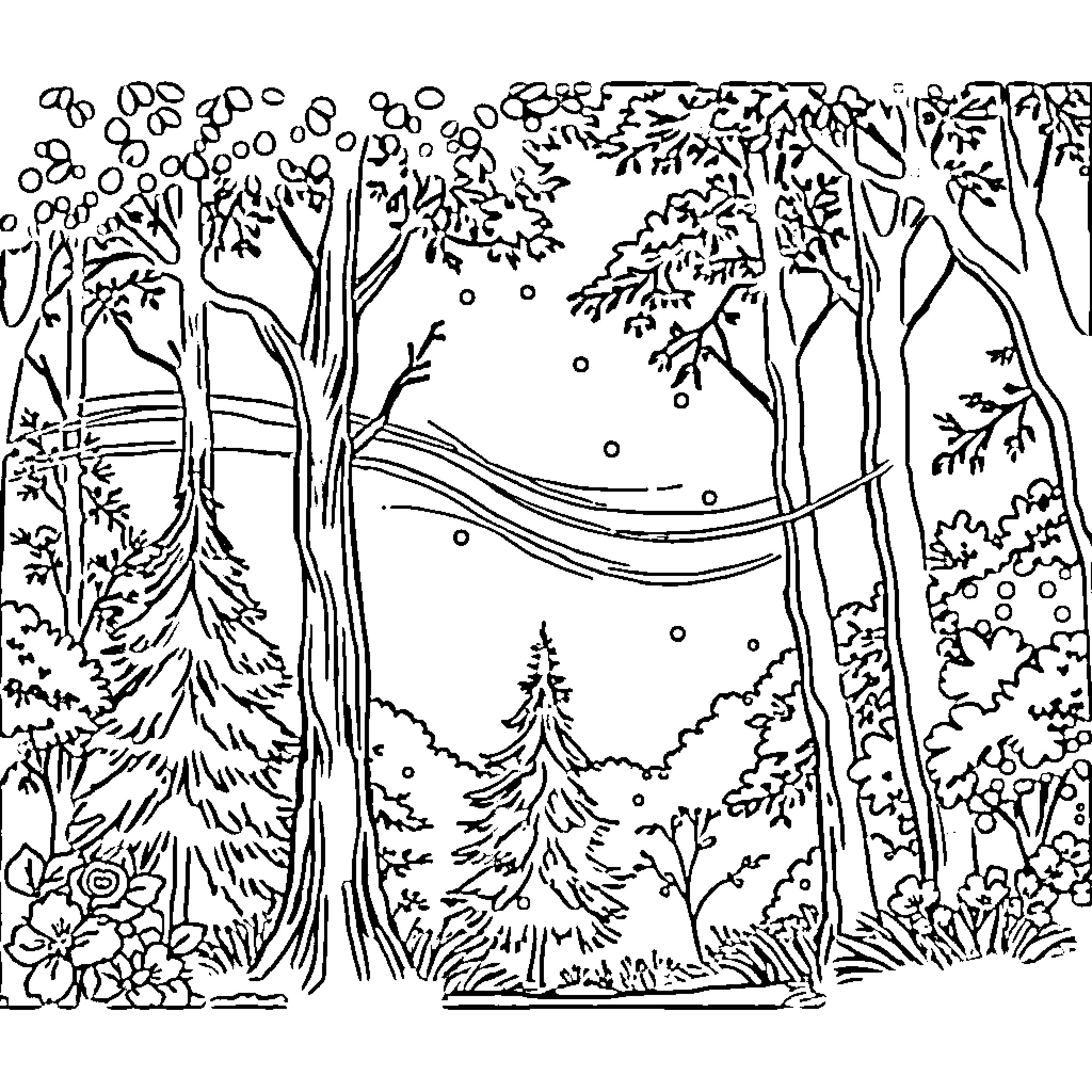 Cool Enchanted Forest Landscape Coloring Page (free black-and-white line drawing printable PDF for all, from beginners to advanced learners, including children, teens, adults, and seniors)