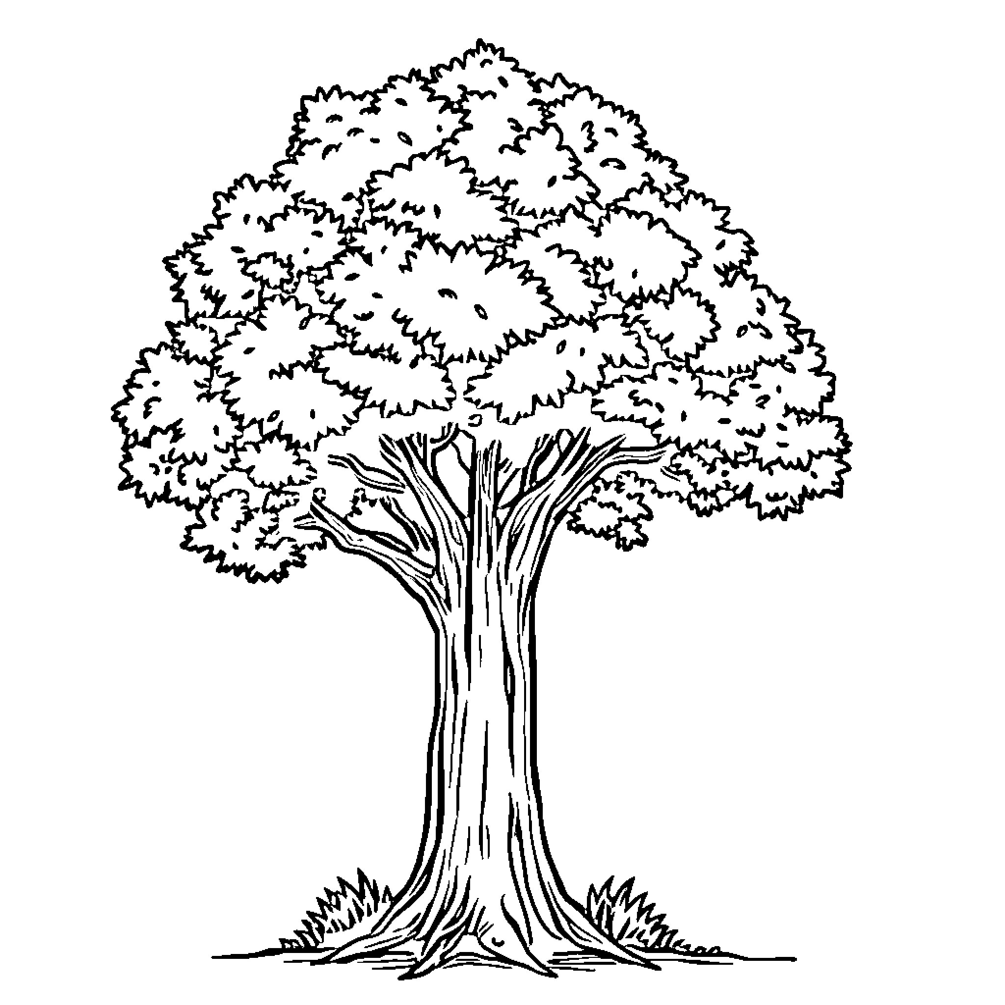Tree with full and lush foliage Coloring Page (free black-and-white line drawing printable PDF for all, from beginners to advanced learners, including children, teens, adults, and seniors)