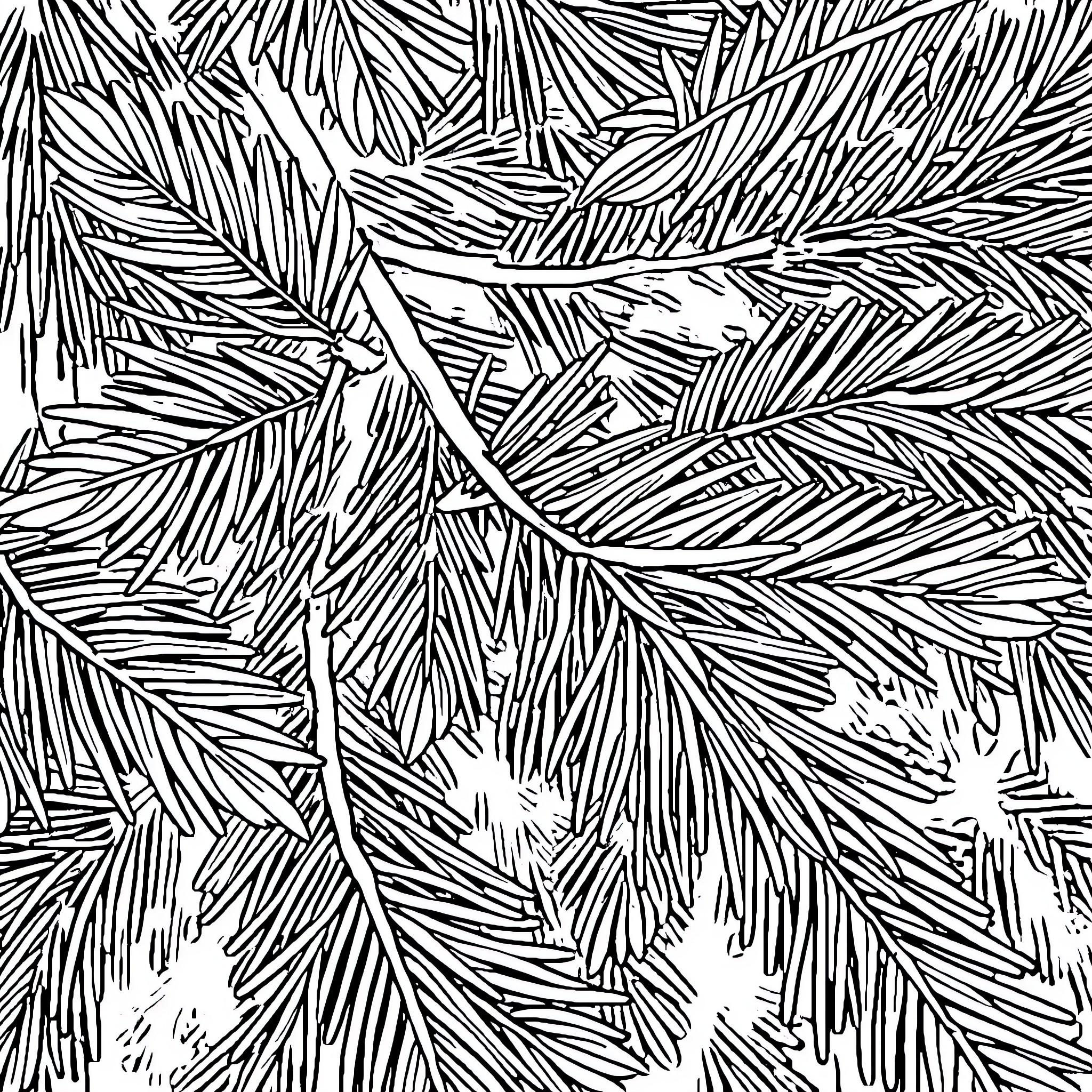 Pine Leaf Forest Abstract Patterns Coloring Page (free black-and-white line drawing printable PDF for all, from beginners to advanced learners, including children, teens, adults, and seniors)
