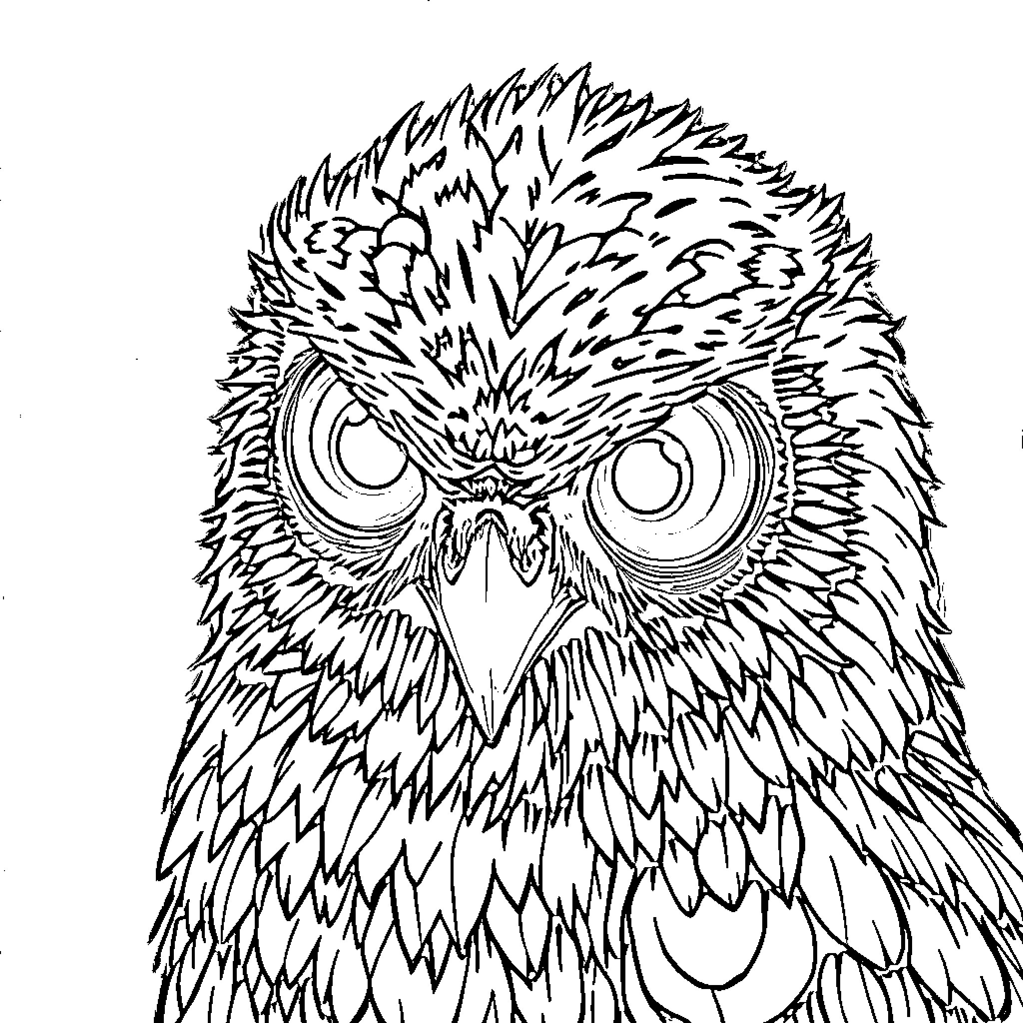 Spider-like owl with intense gaze Coloring Page (free black-and-white line drawing printable PDF for all, from beginners to advanced learners, including children, teens, adults, and seniors)