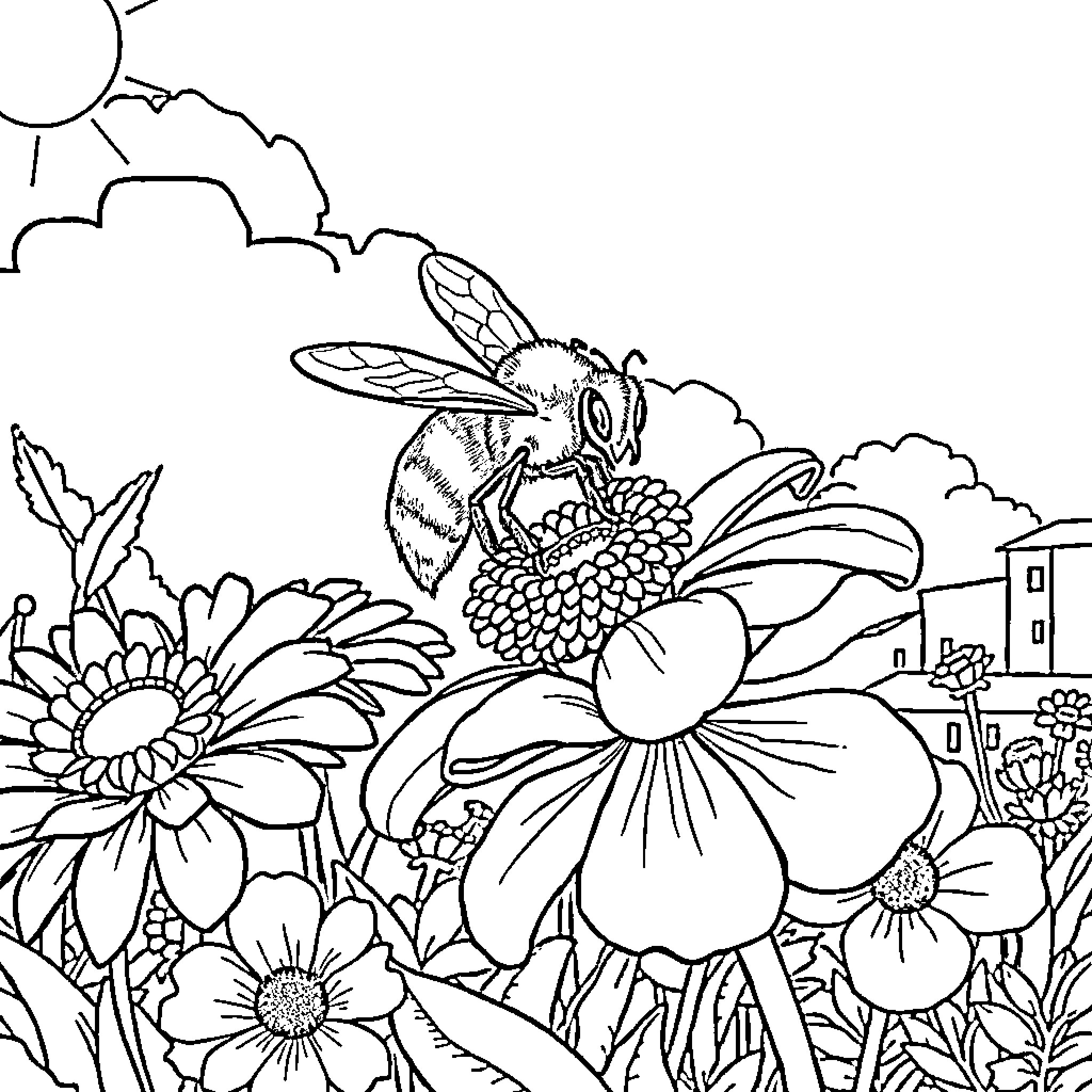 Bee pollinating beautiful flowers in the garden Coloring Page (free black-and-white line drawing printable PDF for all, from beginners to advanced learners, including children, teens, adults, and seniors)