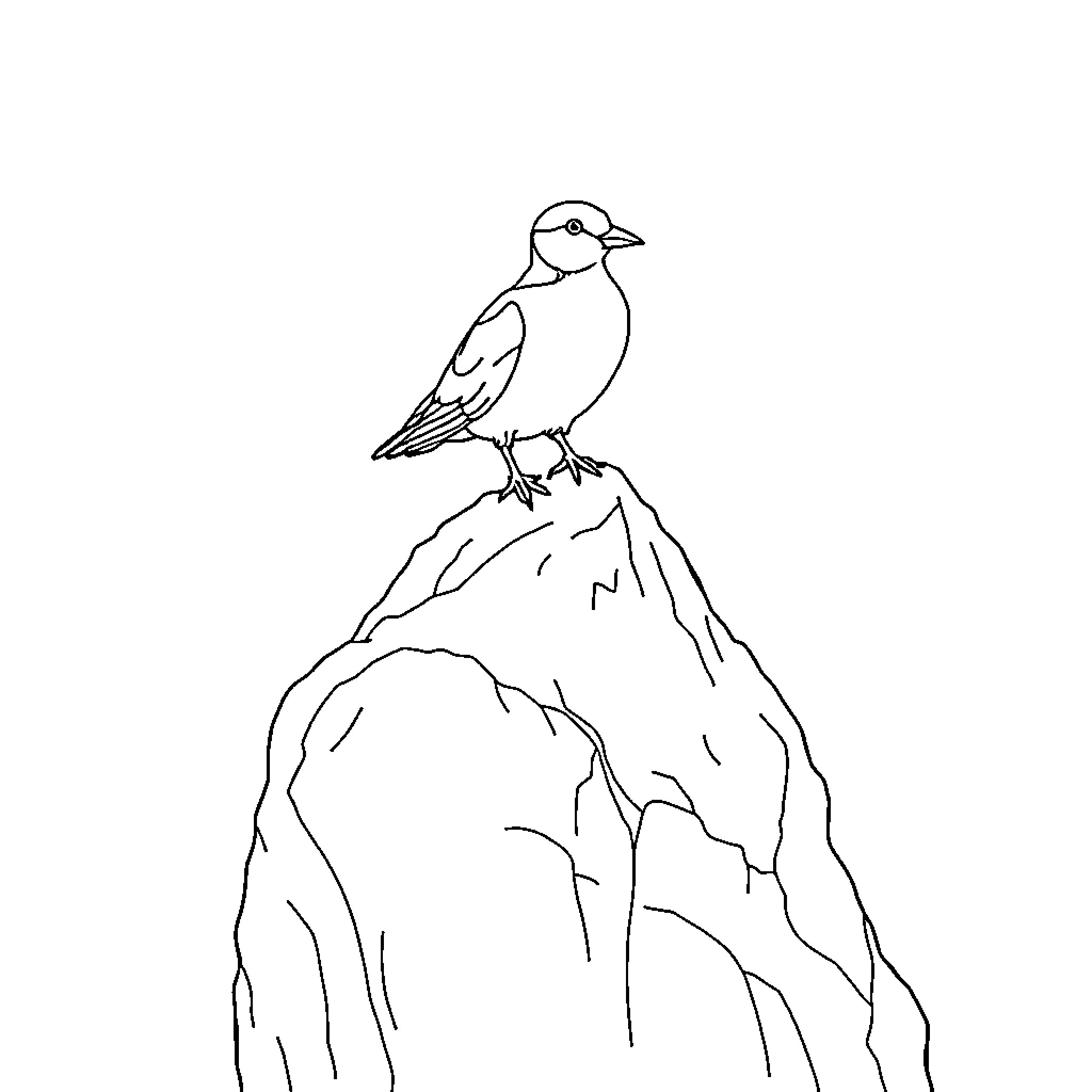 Seagull perched atop a rocky outcrop Coloring Page (free black-and-white line drawing printable PDF for all, from beginners to advanced learners, including children, teens, adults, and seniors)