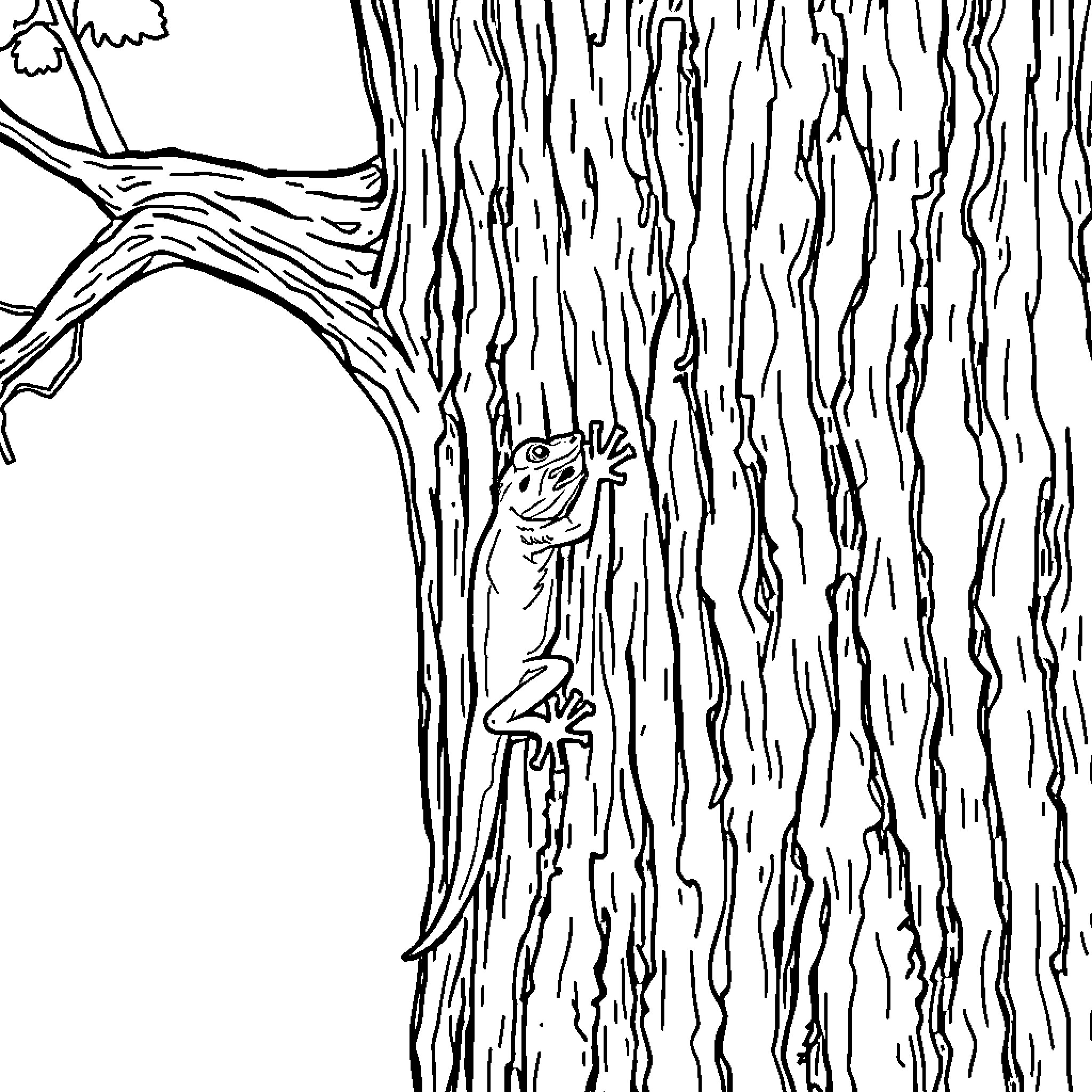 Gecko hiding in a textured tree Coloring Page (free black-and-white line drawing printable PDF for all, from beginners to advanced learners, including children, teens, adults, and seniors)