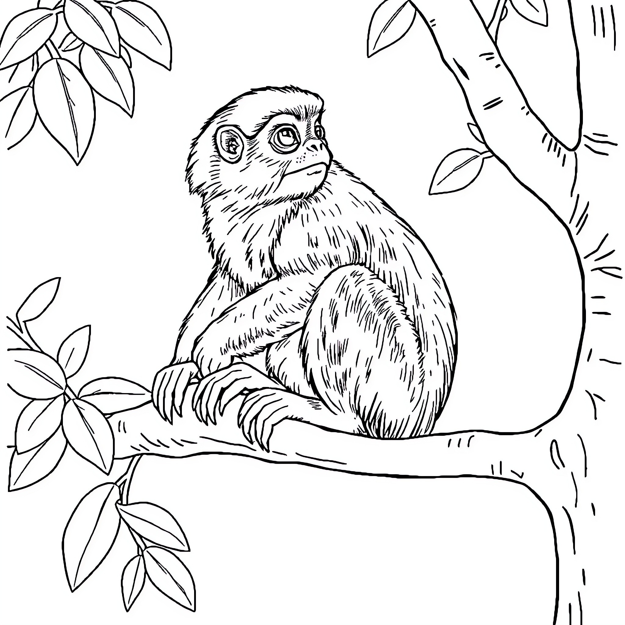 Monkey resting on tree branch in jungle Coloring Page (free black-and-white line drawing printable PDF for all, from beginners to advanced learners, including children, teens, adults, and seniors)