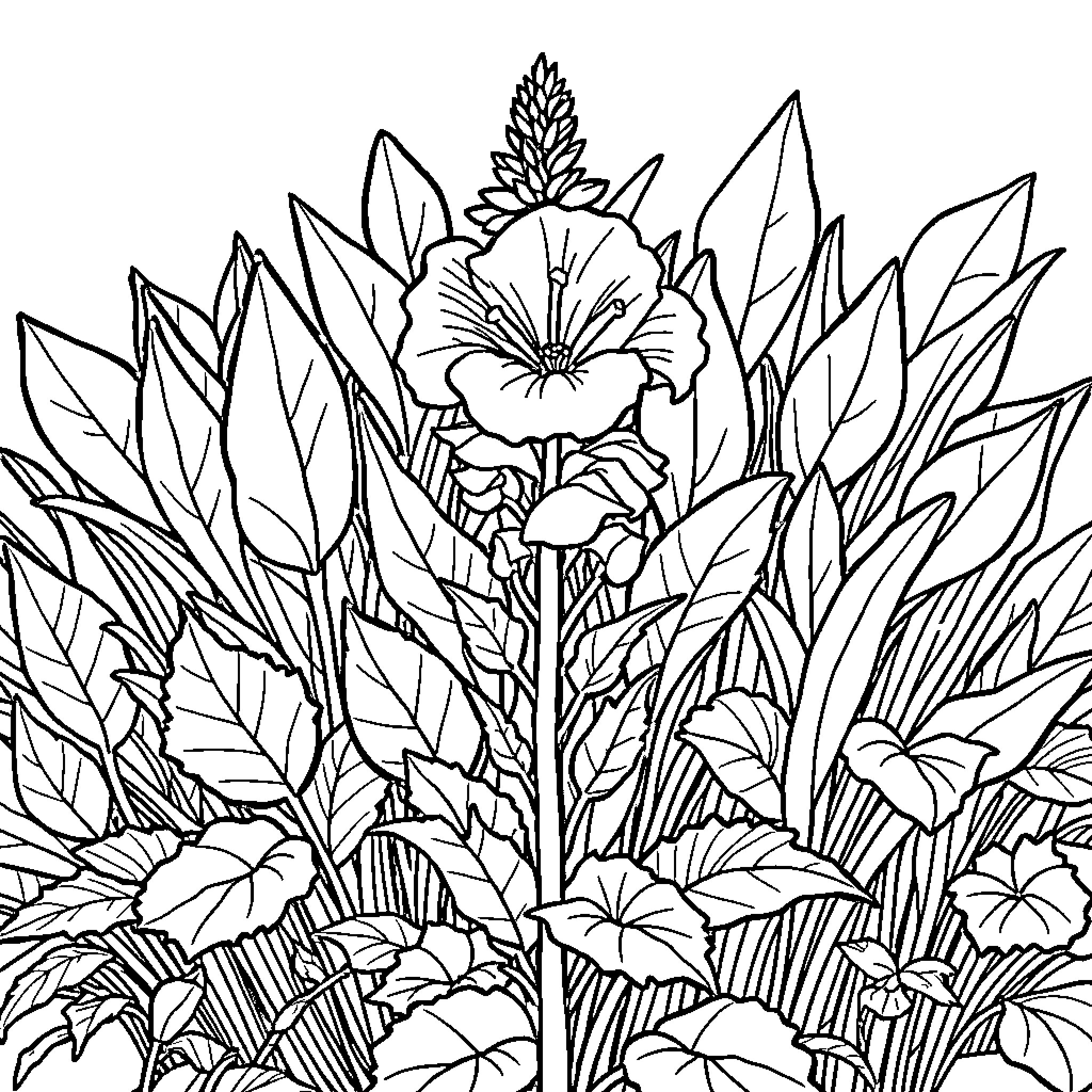 Plant flourishing in lush vegetation Coloring Page (free black-and-white line drawing printable PDF for all, from beginners to advanced learners, including children, teens, adults, and seniors)