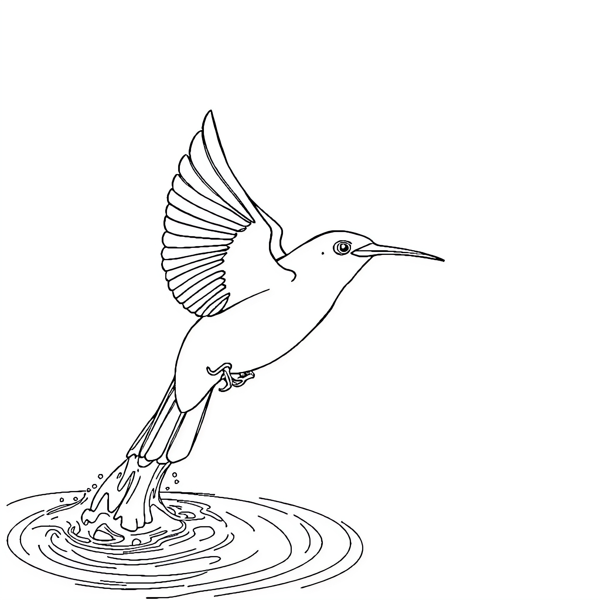 Kingfisher bird diving into water Coloring Page (free black-and-white line drawing printable PDF for all, from beginners to advanced learners, including children, teens, adults, and seniors)