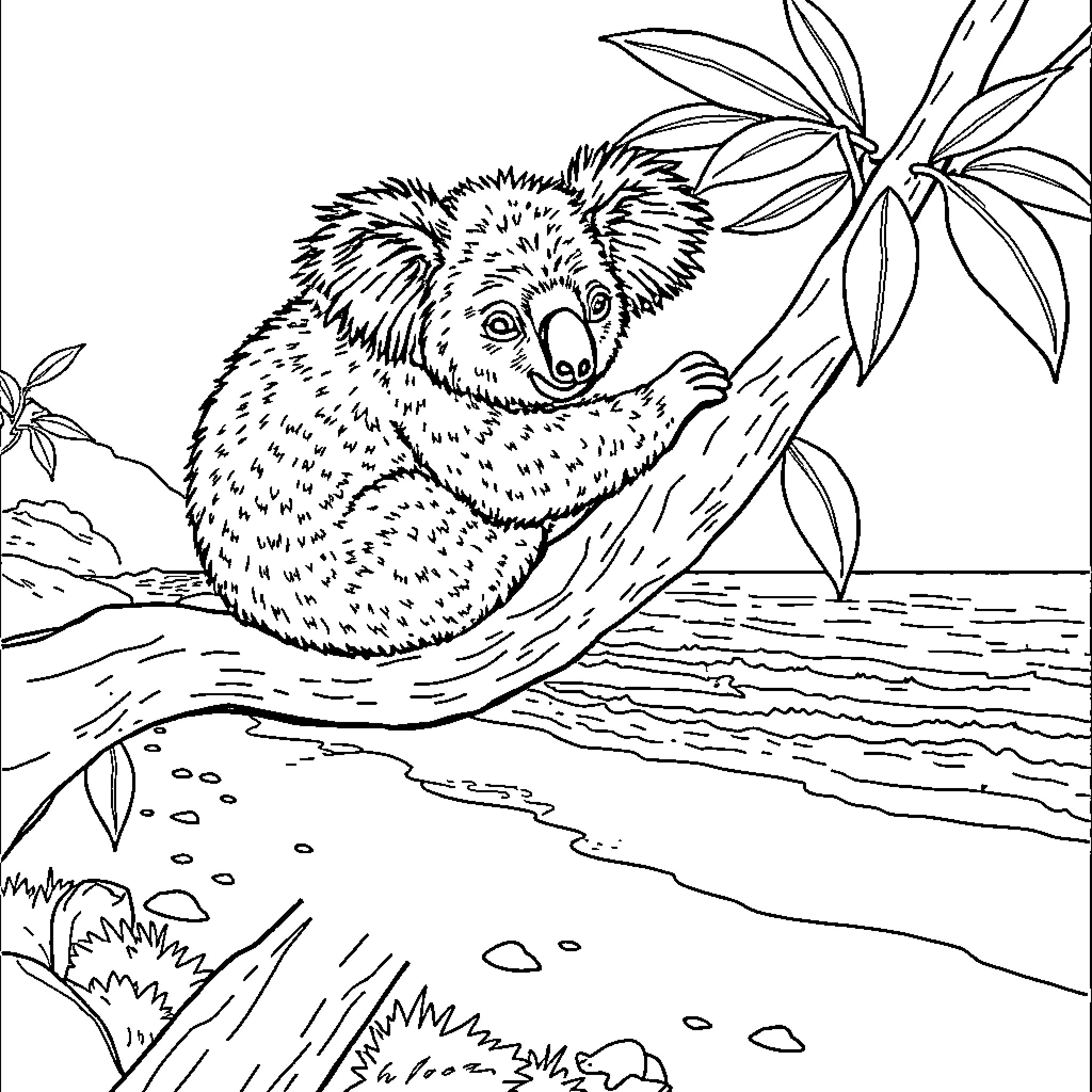 Koala resting peacefully in the trees Coloring Page (free black-and-white line drawing printable PDF for all, from beginners to advanced learners, including children, teens, adults, and seniors)
