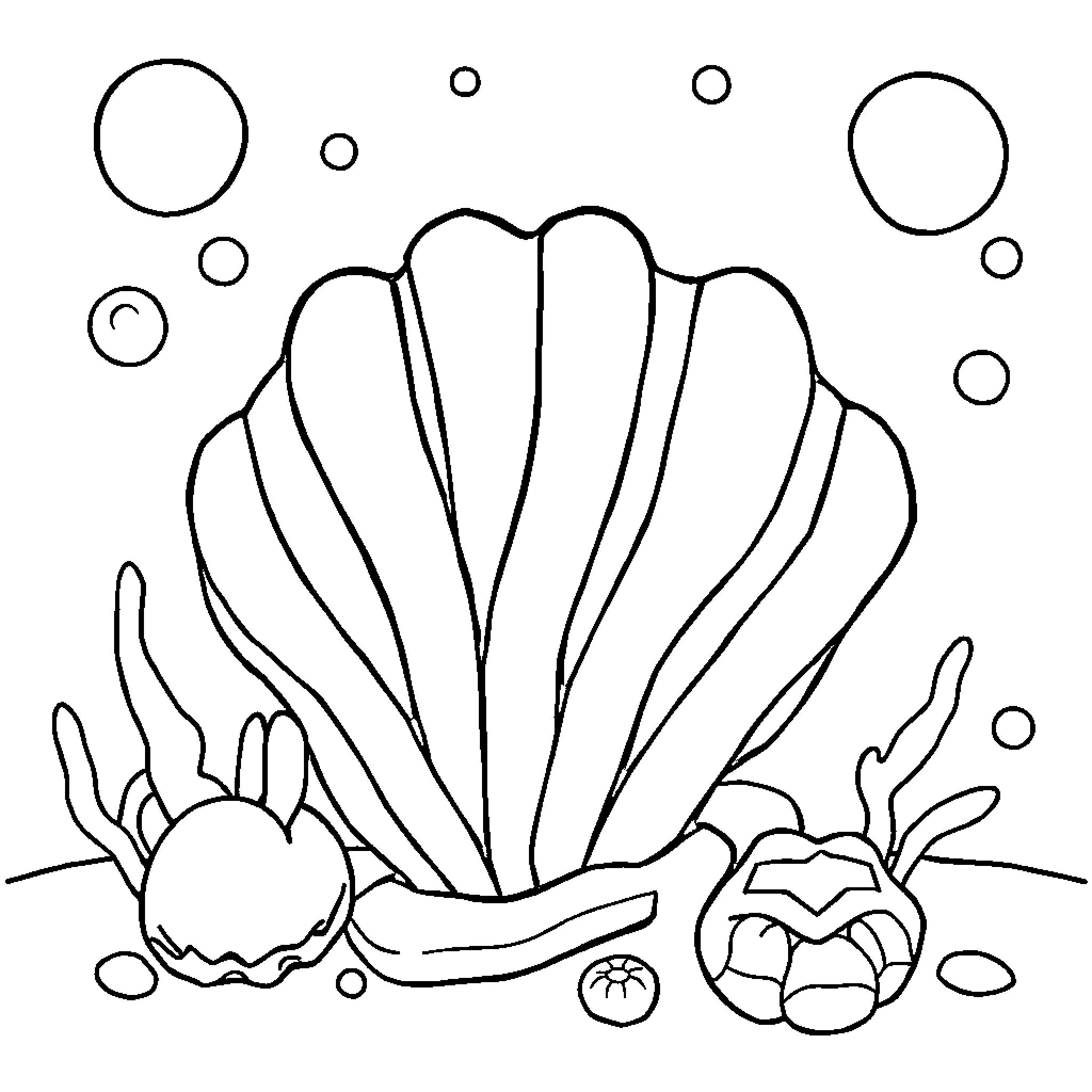 Coquille - Underwater Marine Life Illustration Coloring Page (free black-and-white line drawing printable PDF for all, from beginners to advanced learners, including children, teens, adults, and seniors)