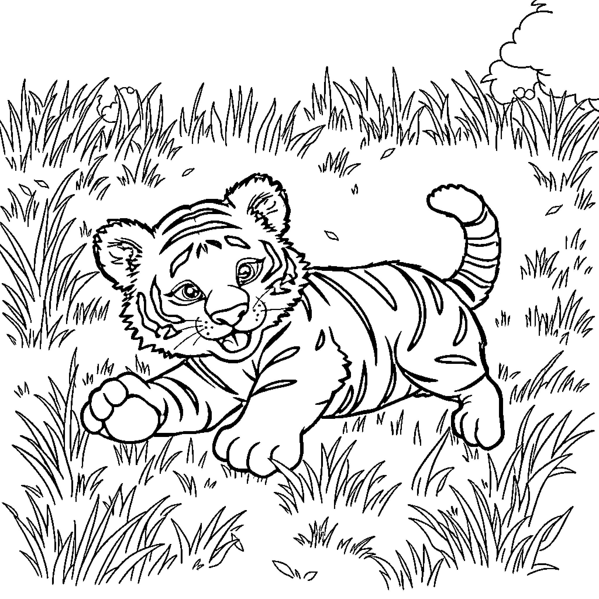 Tiger Playfully Exploring the Grassy Meadow Coloring Page (free black-and-white line drawing printable PDF for all, from beginners to advanced learners, including children, teens, adults, and seniors)