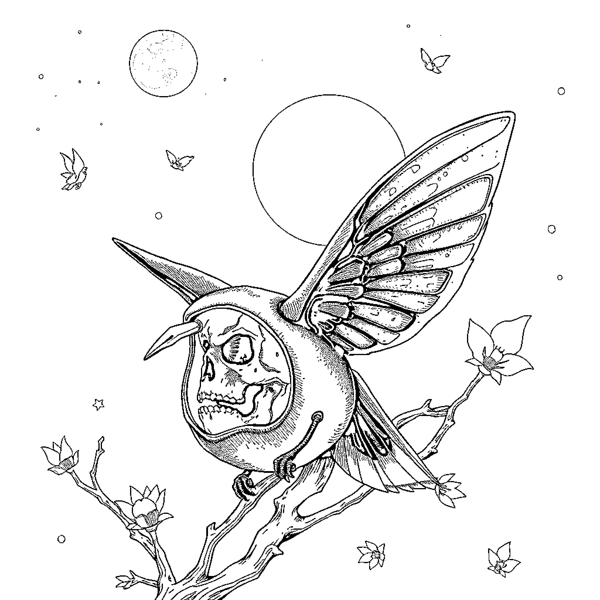 Citrouille's enchanting winged creature in moonlit garden Coloring Page (free black-and-white line drawing printable PDF for all, from beginners to advanced learners, including children, teens, adults, and seniors)