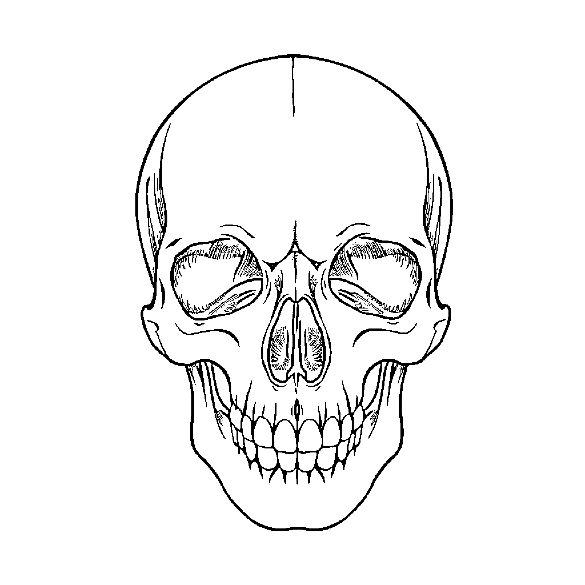 Skull with Haunting Visage Coloring Page (free black-and-white line drawing printable PDF for all, from beginners to advanced learners, including children, teens, adults, and seniors)