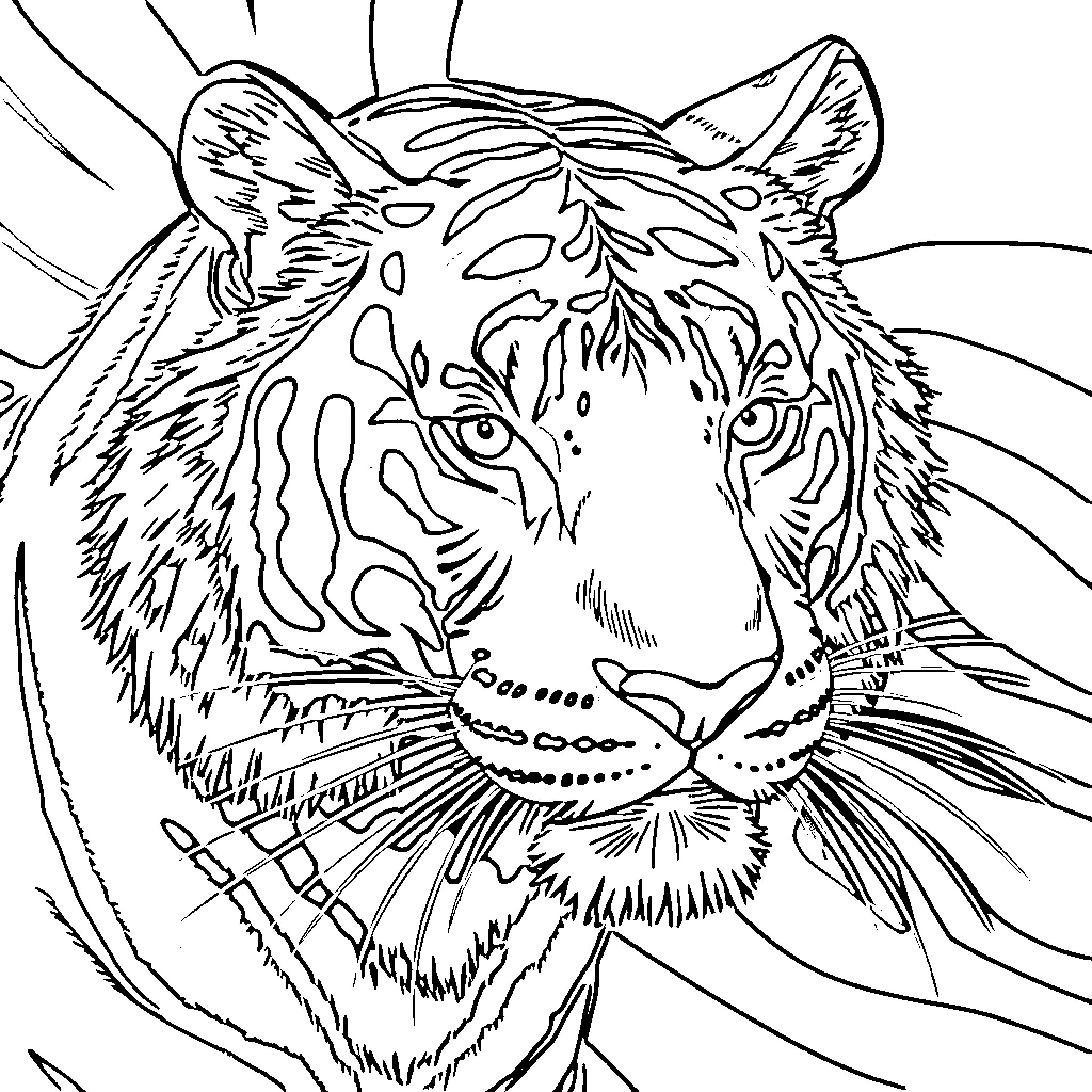 Tiger Gazing Intently at the Viewer Coloring Page (free black-and-white line drawing printable PDF for all, from beginners to advanced learners, including children, teens, adults, and seniors)