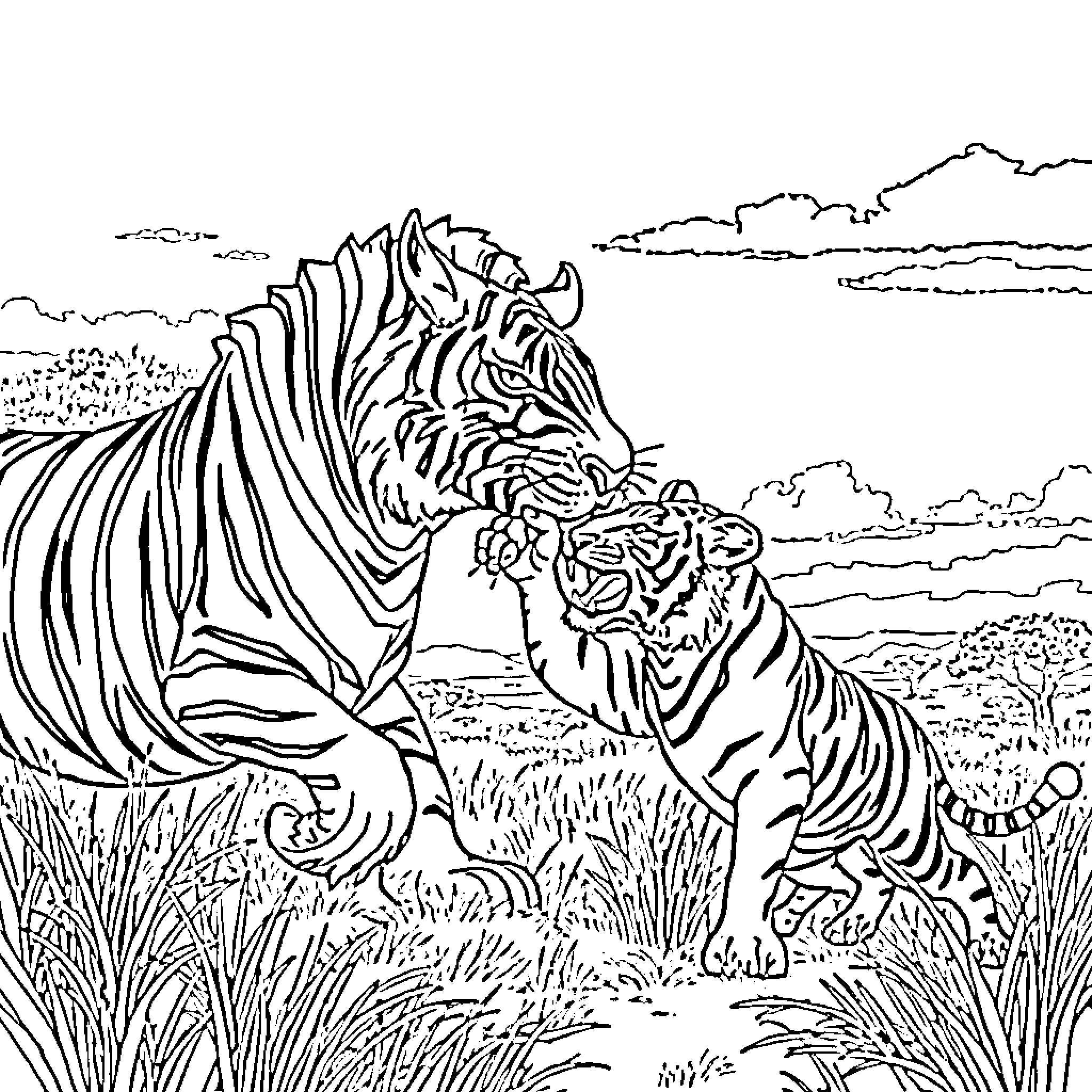 Monster tigers fighting ferociously in the wild Coloring Page (free black-and-white line drawing printable PDF for all, from beginners to advanced learners, including children, teens, adults, and seniors)