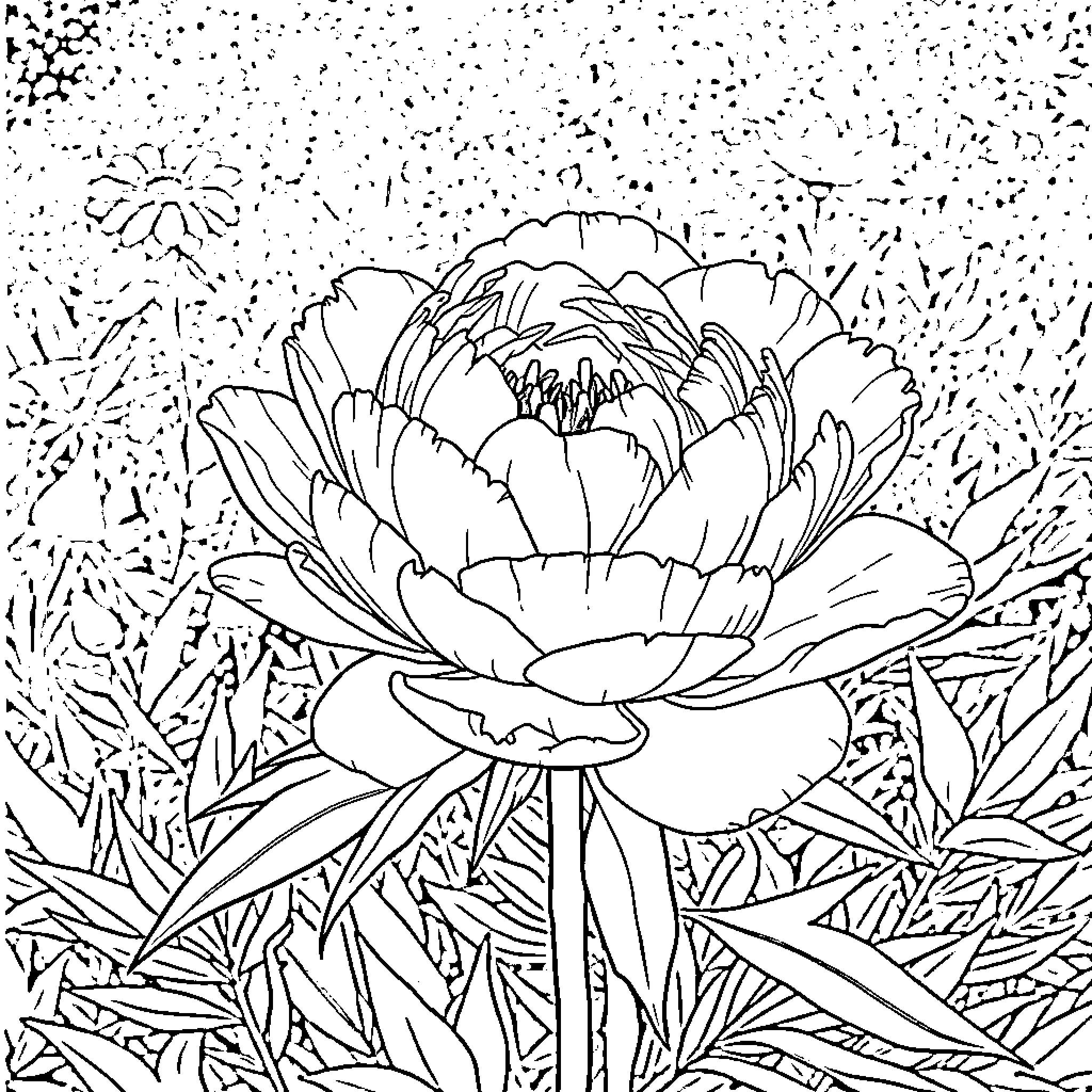 Peony blooming amidst nature's splendor Coloring Page (free black-and-white line drawing printable PDF for all, from beginners to advanced learners, including children, teens, adults, and seniors)