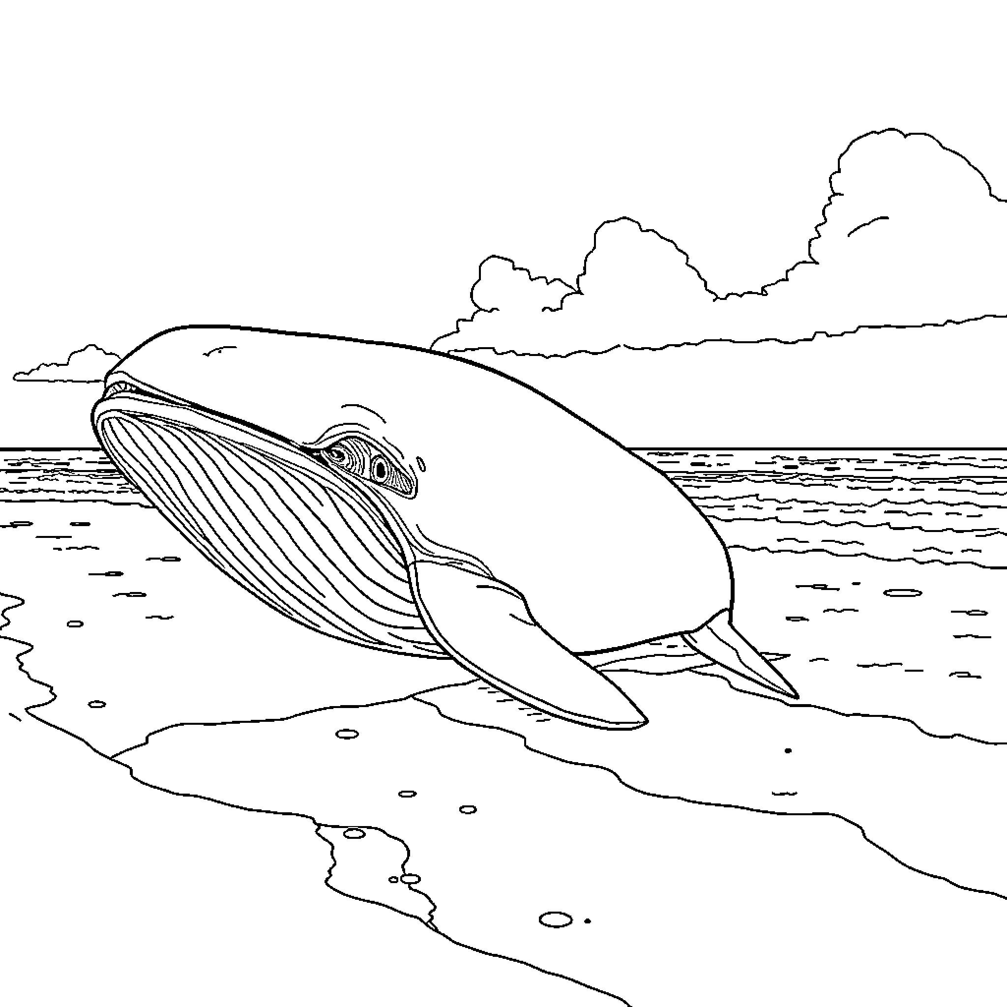 Whale swimming gracefully in the ocean Coloring Page (free black-and-white line drawing printable PDF for all, from beginners to advanced learners, including children, teens, adults, and seniors)