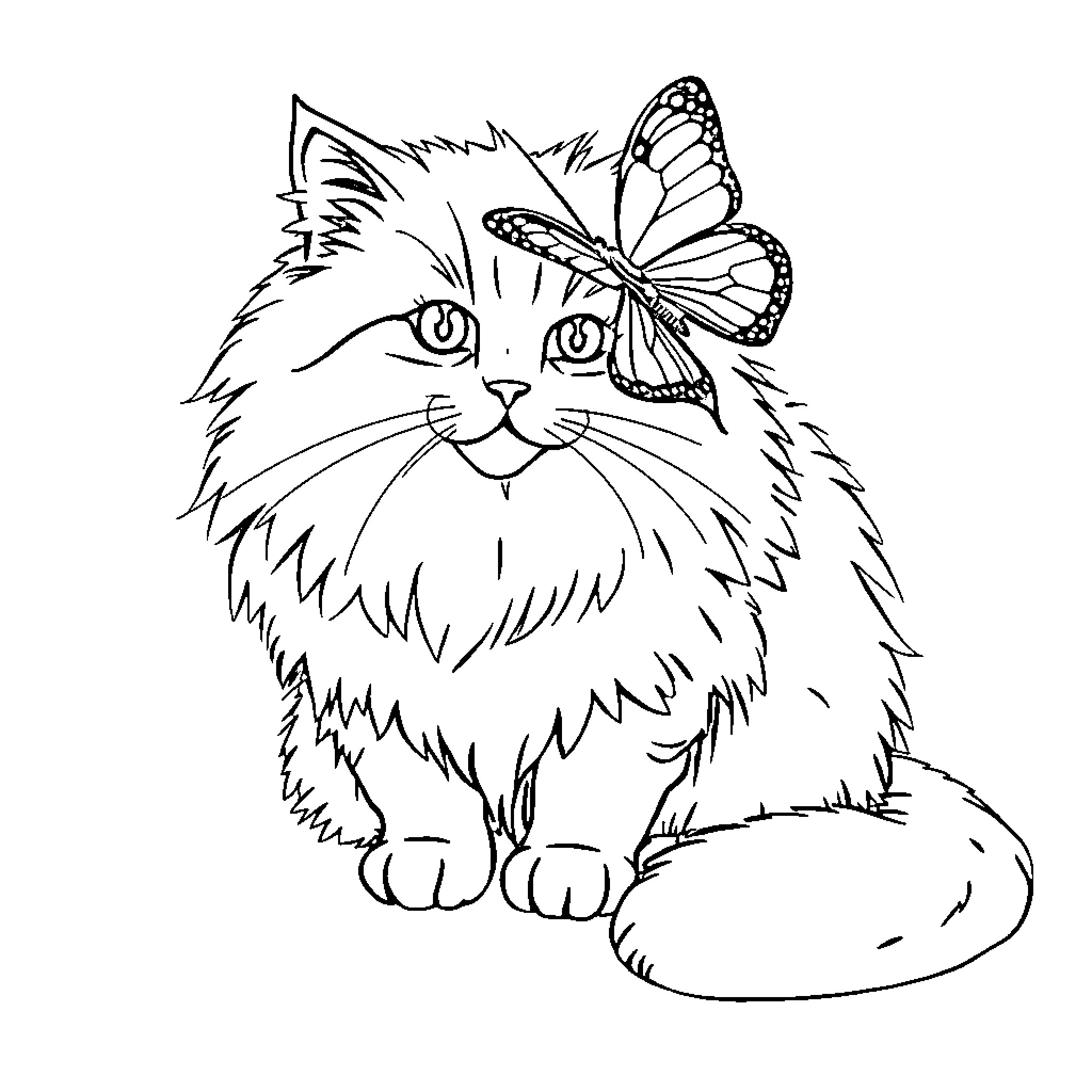 Cat with butterfly on its head Coloring Page (free black-and-white line drawing printable PDF for all, from beginners to advanced learners, including children, teens, adults, and seniors)