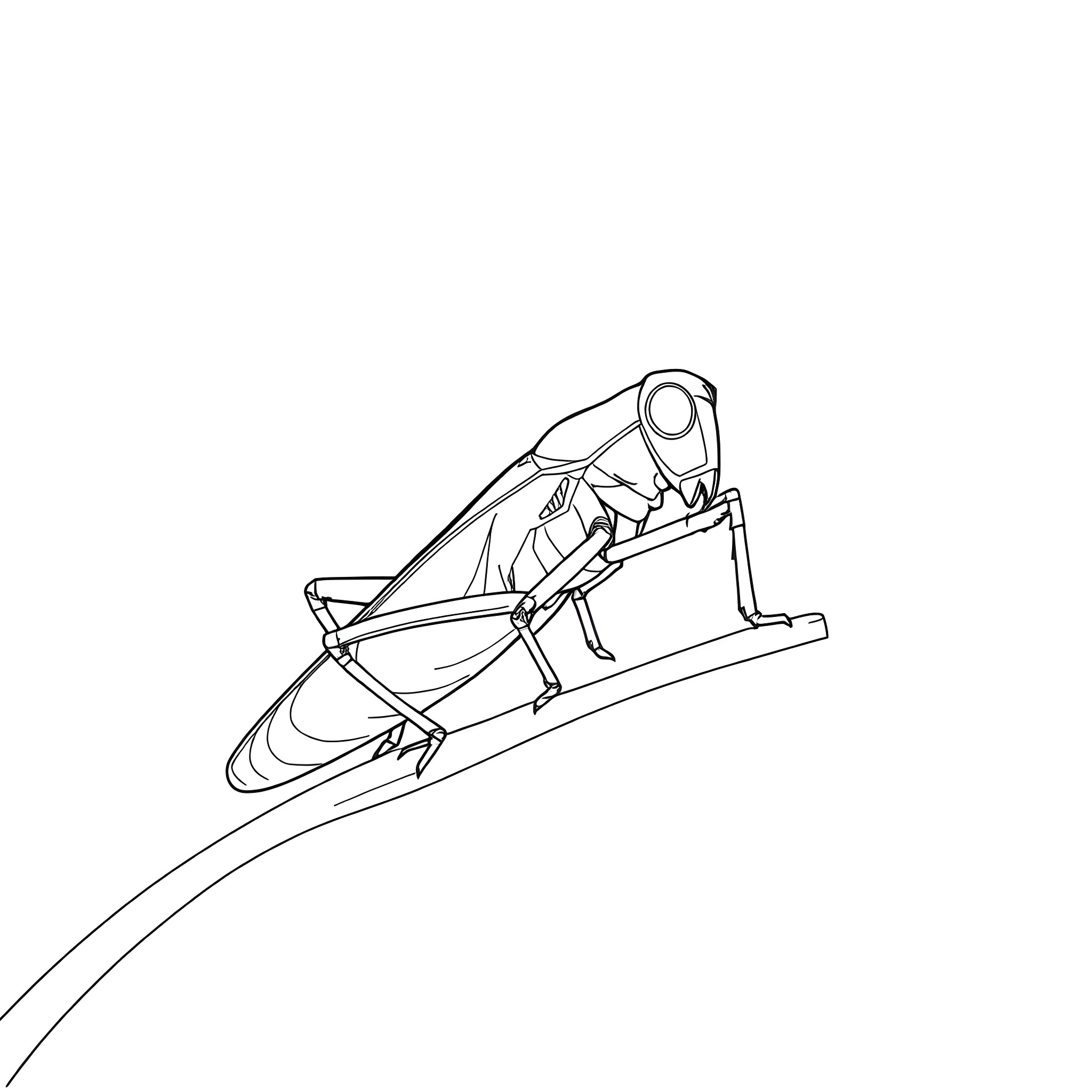 Grasshopper riding a mechanical sled Coloring Page (free black-and-white line drawing printable PDF for all, from beginners to advanced learners, including children, teens, adults, and seniors)