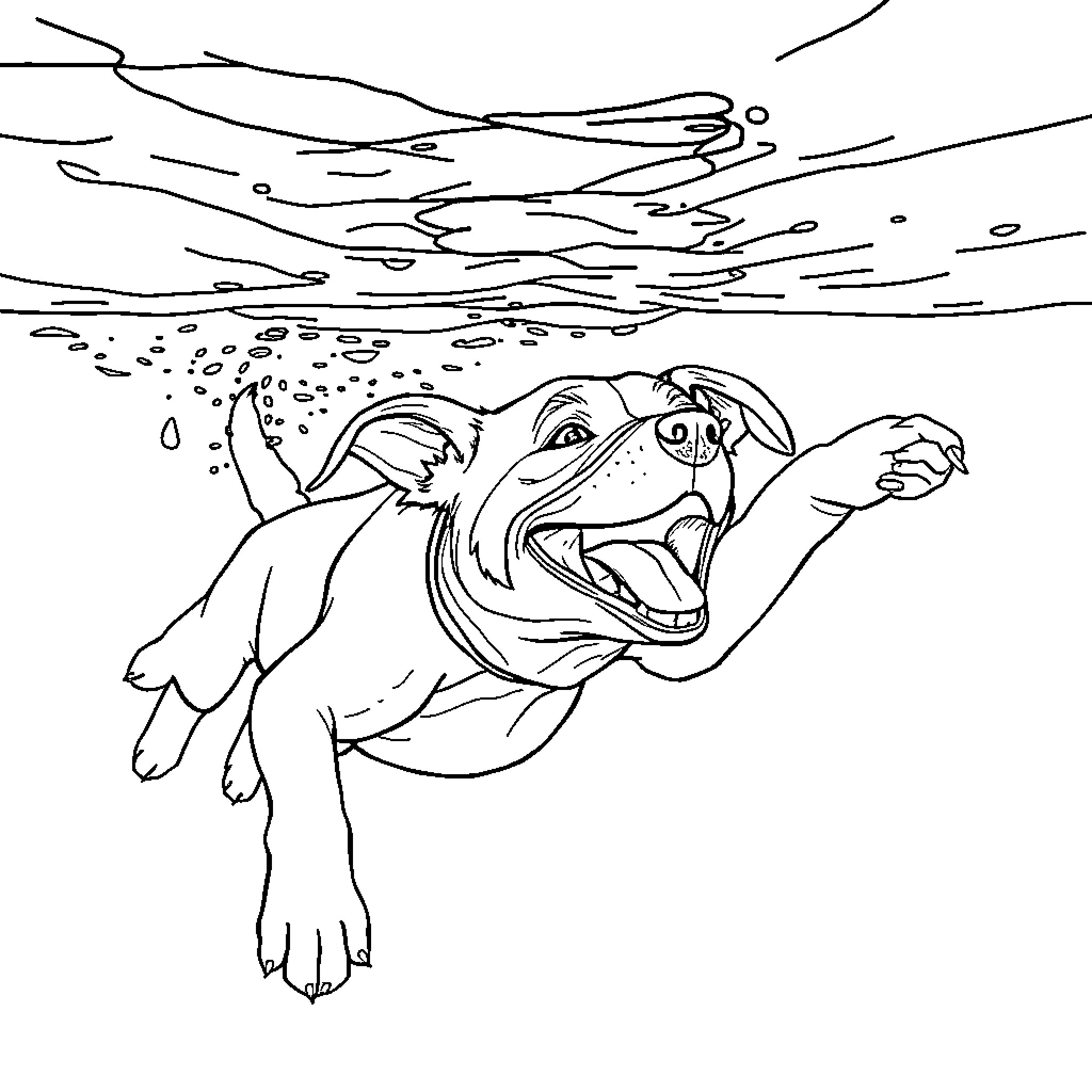 Dog swimming joyfully in the water Coloring Page (free black-and-white line drawing printable PDF for all, from beginners to advanced learners, including children, teens, adults, and seniors)