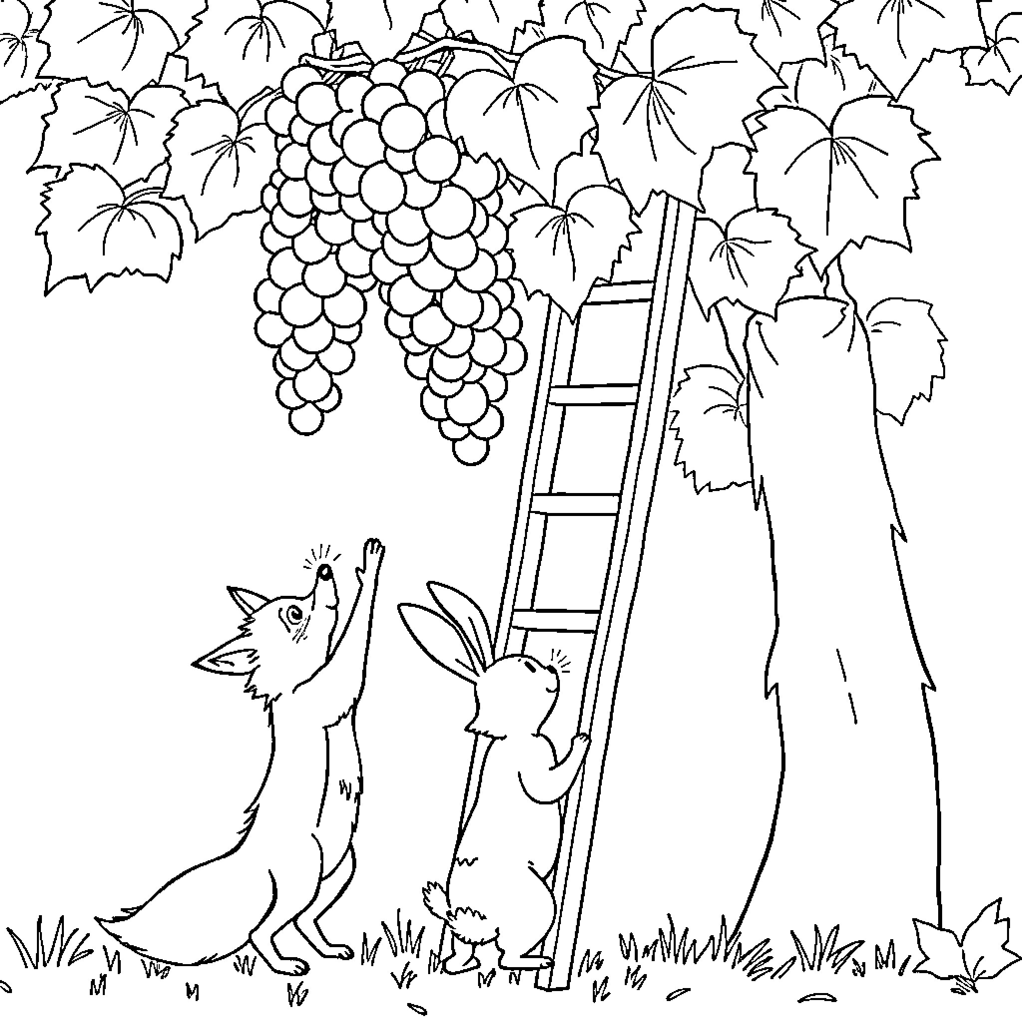 Fox Climbing Ladder to Harvest Grapes Coloring Page (free black-and-white line drawing printable PDF for all, from beginners to advanced learners, including children, teens, adults, and seniors)