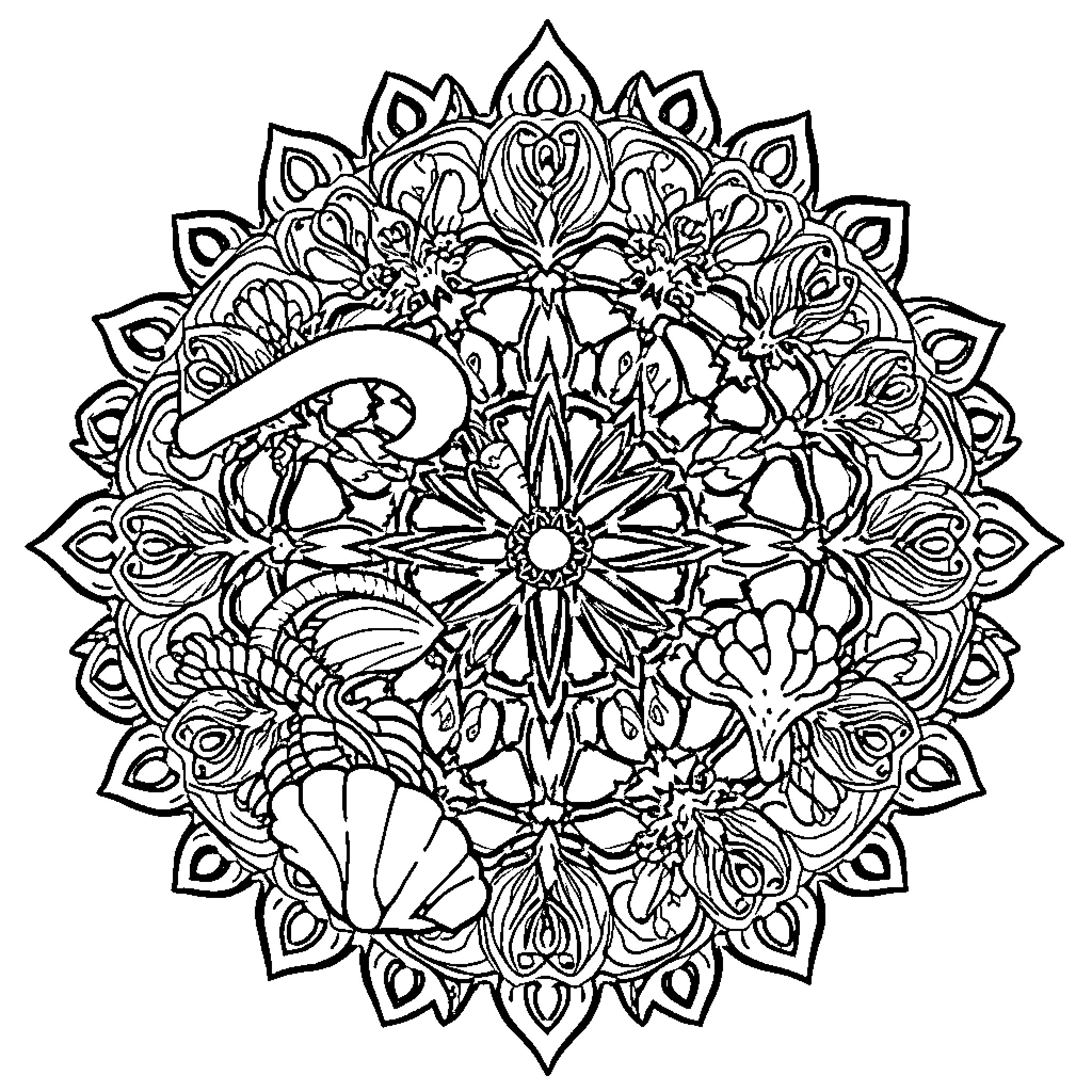 Mandala with intricate floral and geometric patterns Coloring Page (free black-and-white line drawing printable PDF for all, from beginners to advanced learners, including children, teens, adults, and seniors)