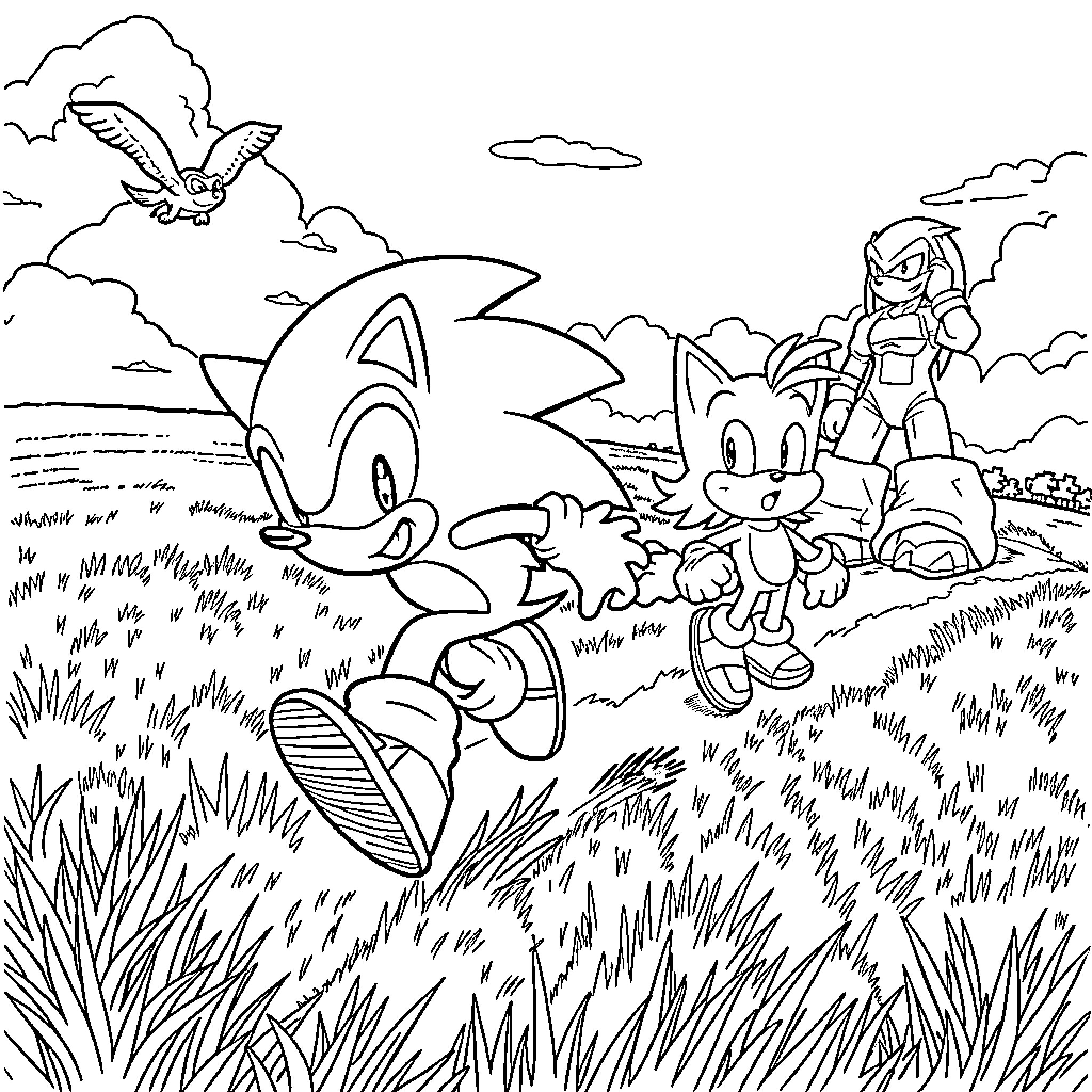 Sonic and Friends Explore the Outdoor Landscape Coloring Page (free black-and-white line drawing printable PDF for all, from beginners to advanced learners, including children, teens, adults, and seniors)