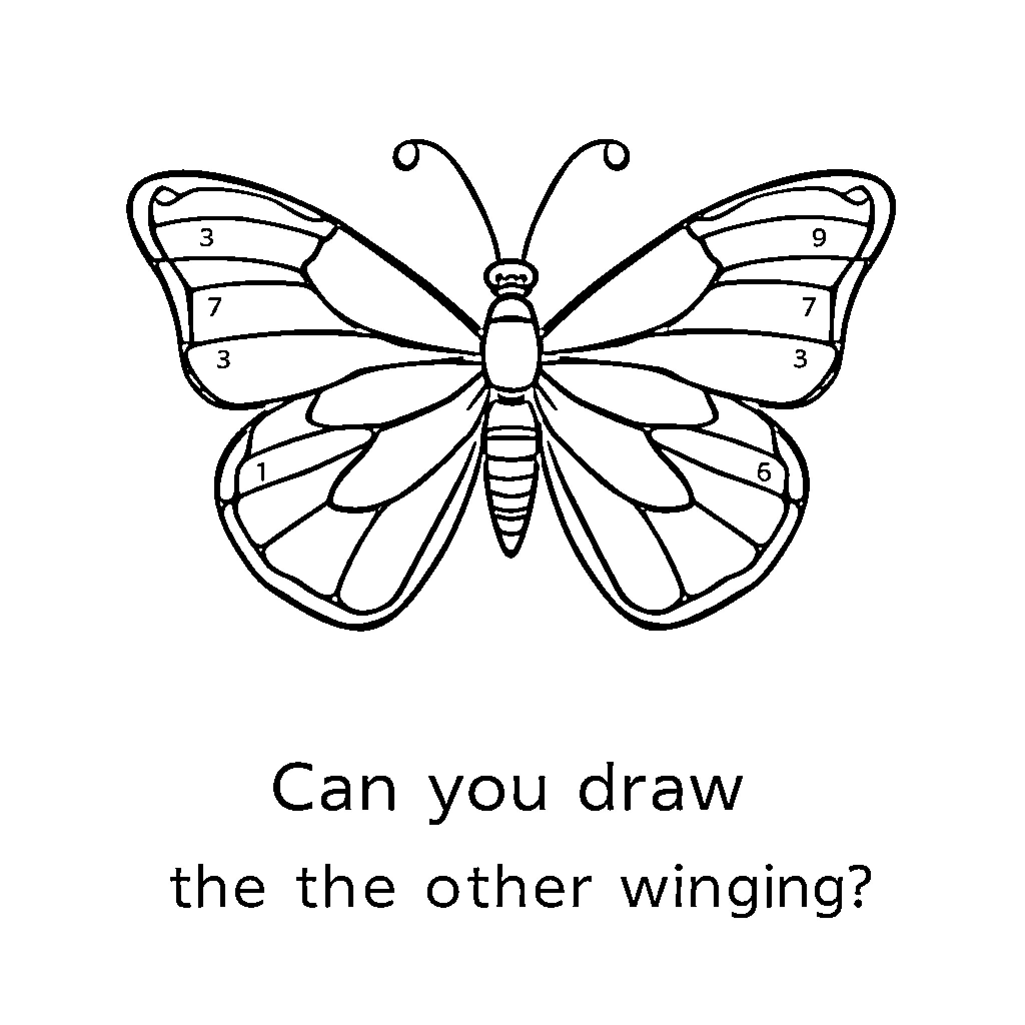 Butterfly drawing with numbered sections Coloring Page (free black-and-white line drawing printable PDF for all, from beginners to advanced learners, including children, teens, adults, and seniors)