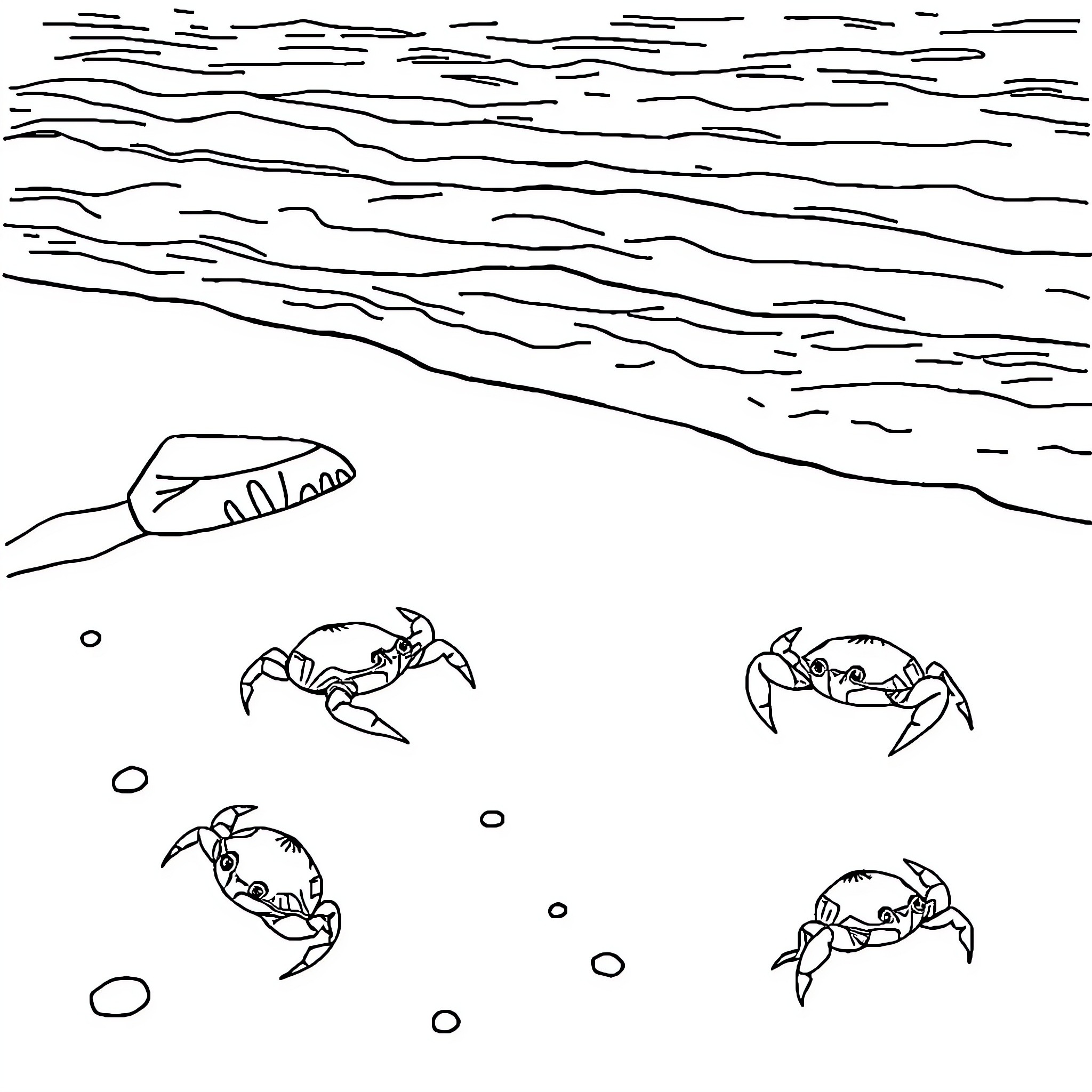 Crab scurrying along the seabed Coloring Page (free black-and-white line drawing printable PDF for all, from beginners to advanced learners, including children, teens, adults, and seniors)